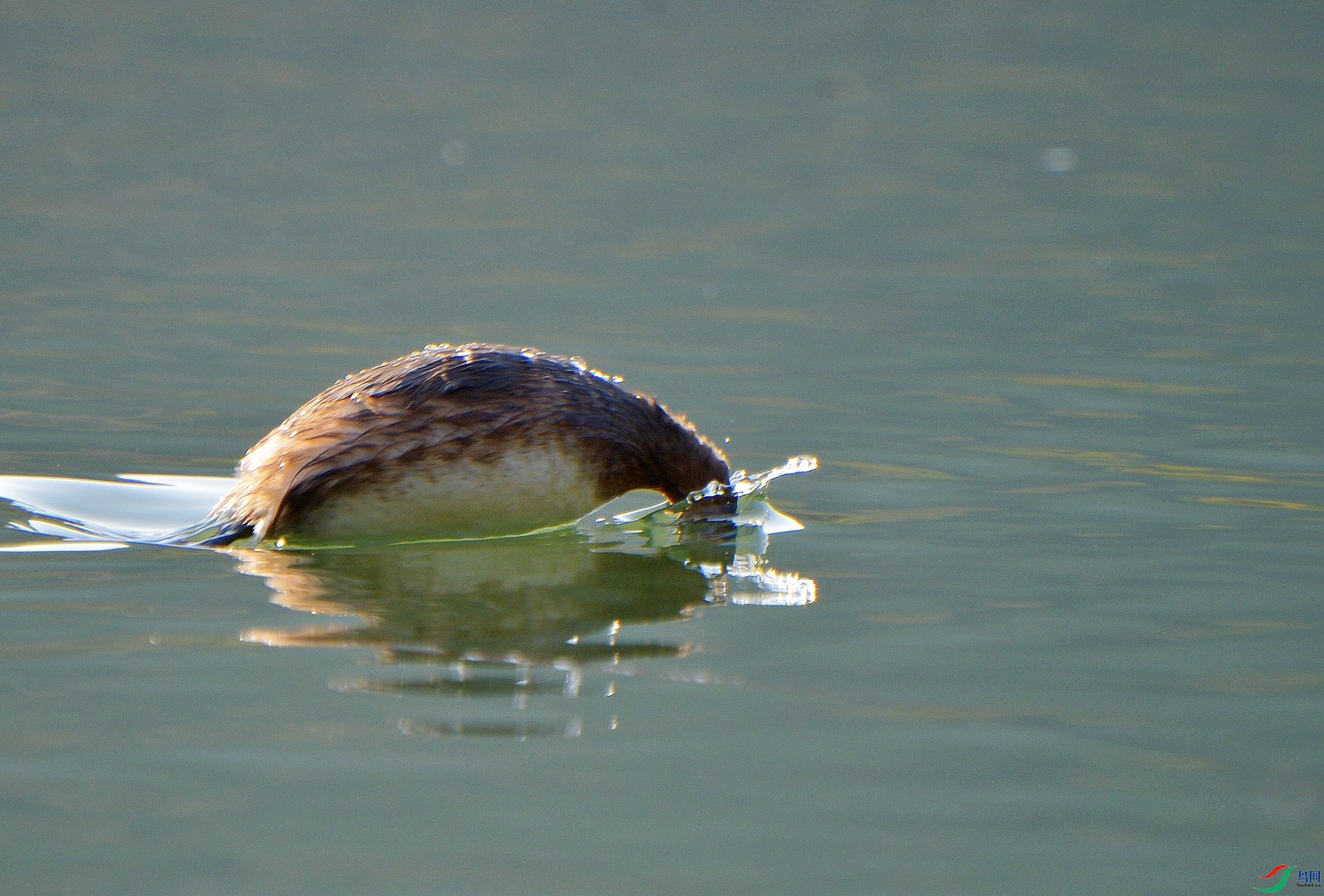 1DS_8056.jpg
