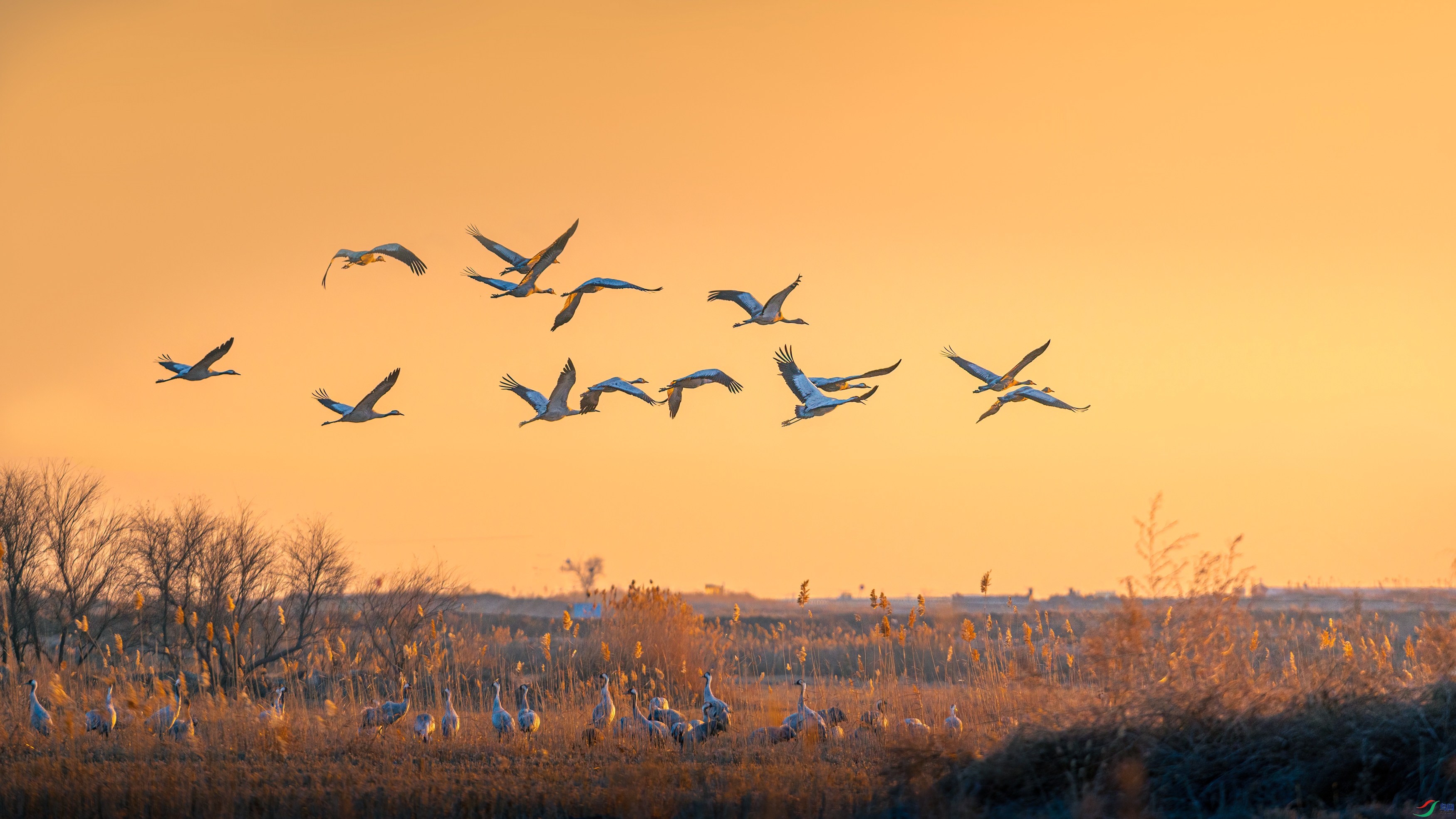 DSC_7082-4.jpg