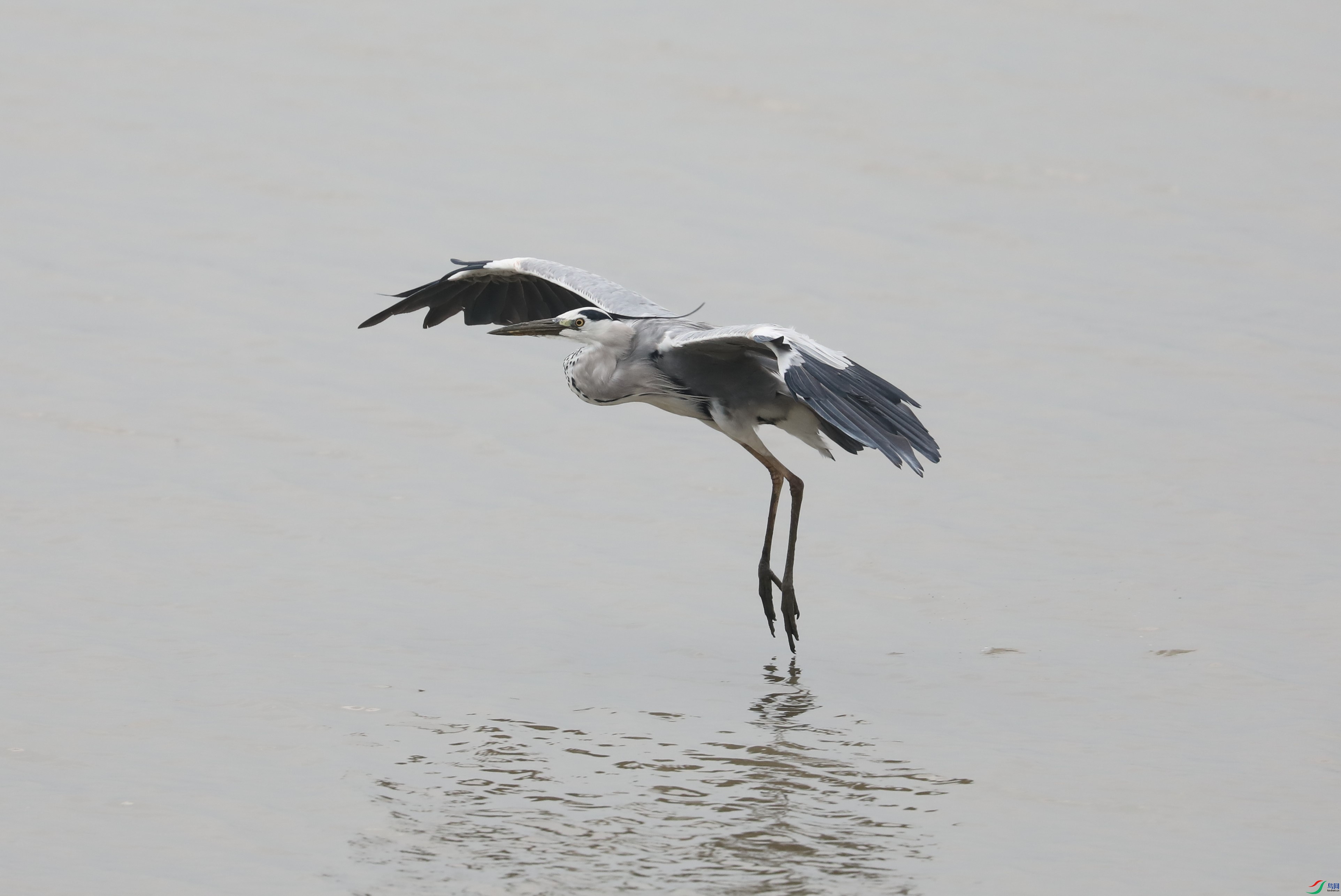 BL7A7352.JPG