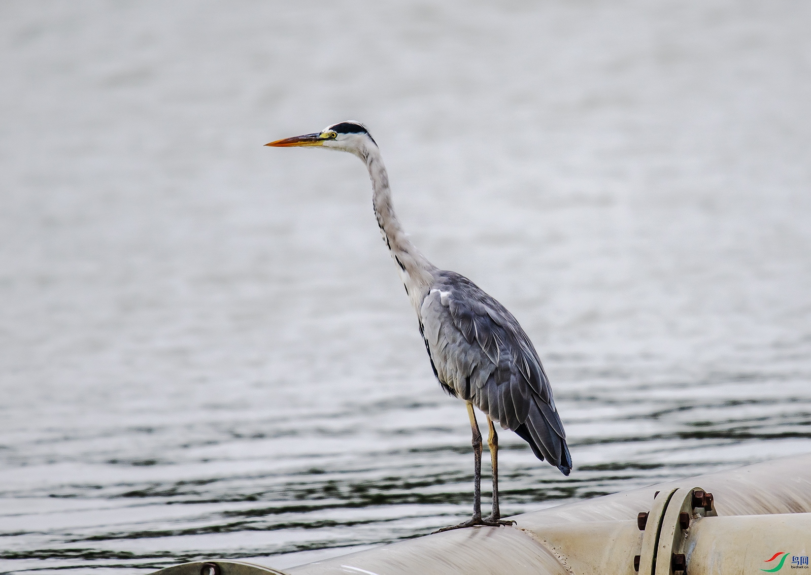 DSC_0377.jpg