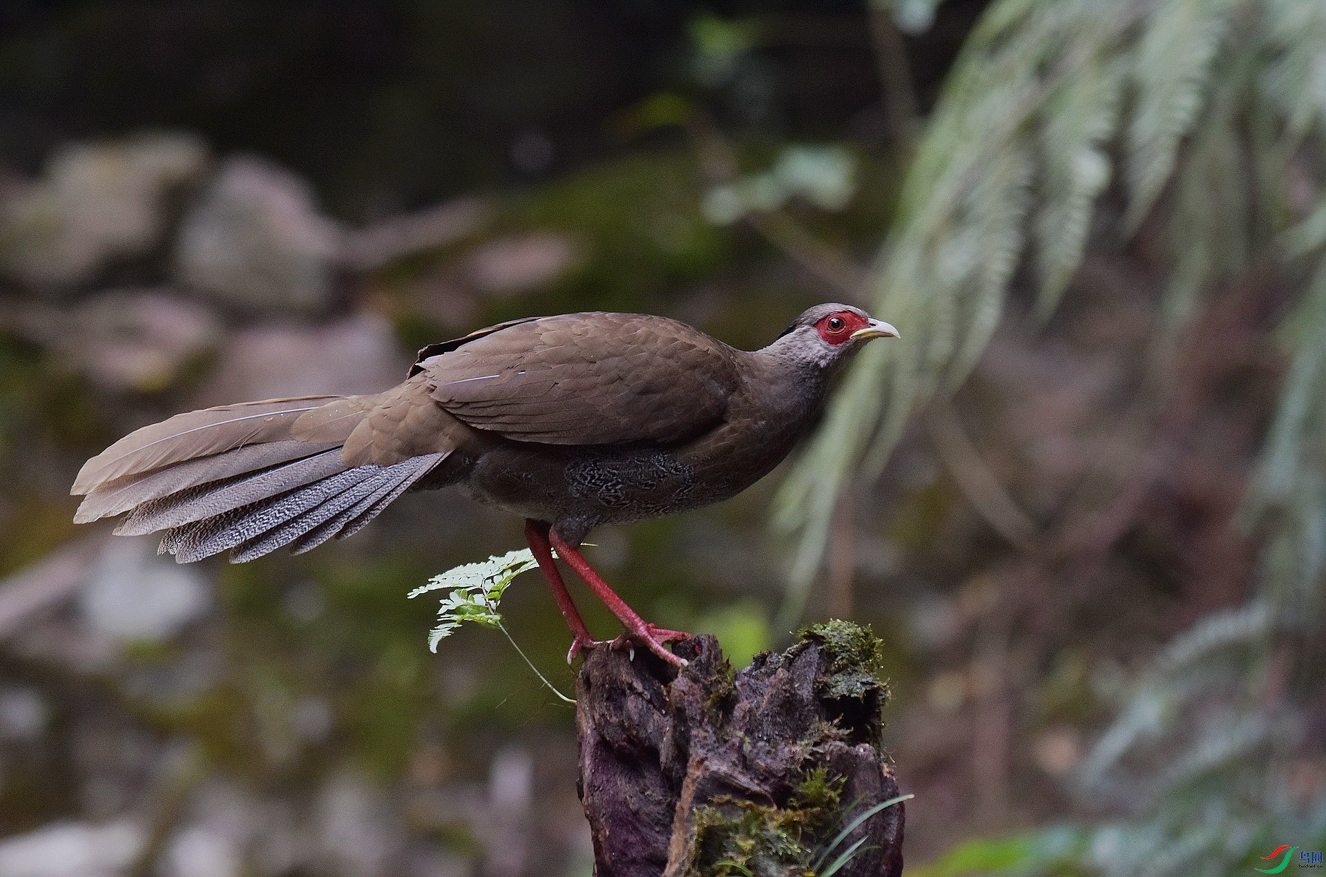 D72_2995.jpg