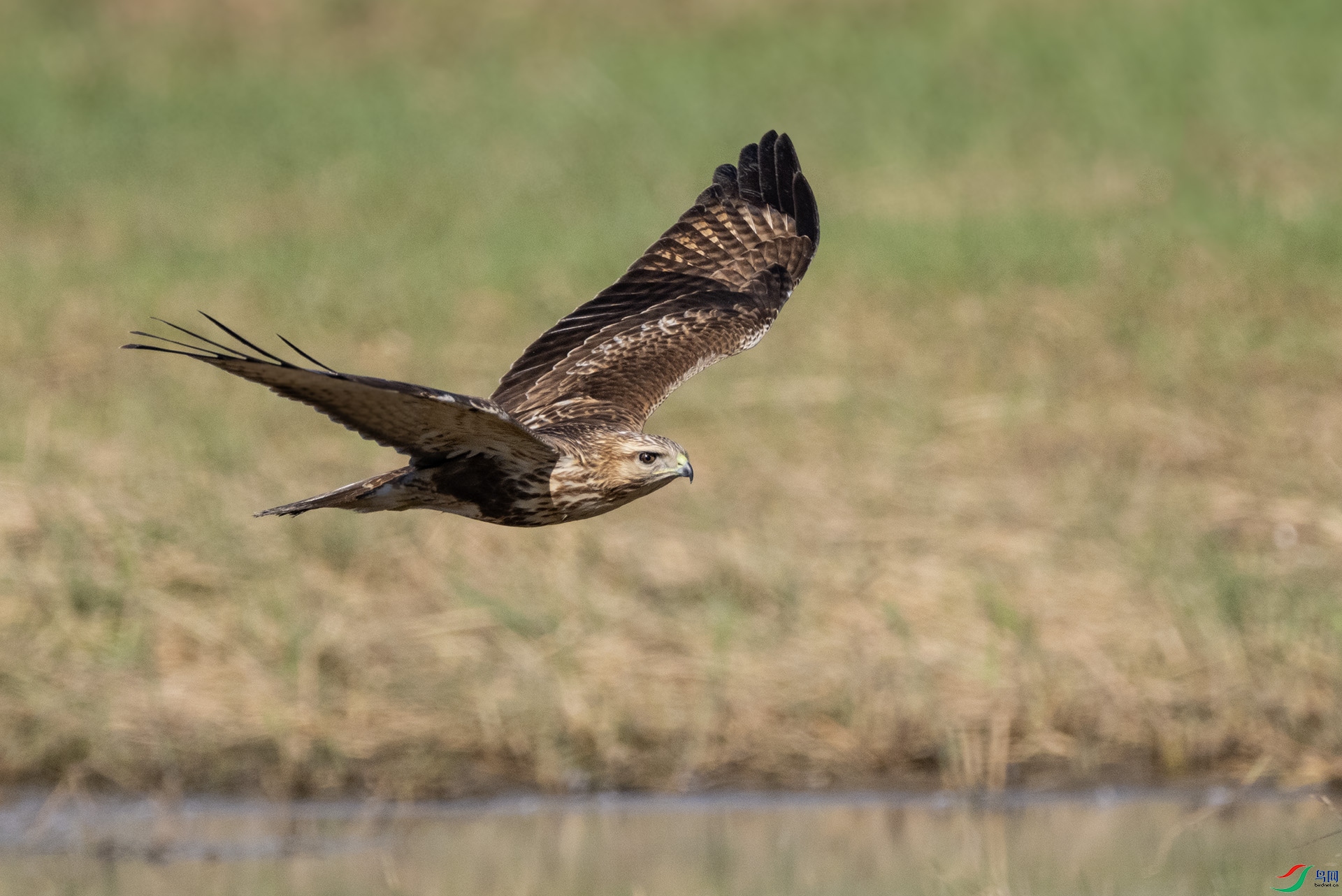 ��DSC_6491 ��ؐ.jpg