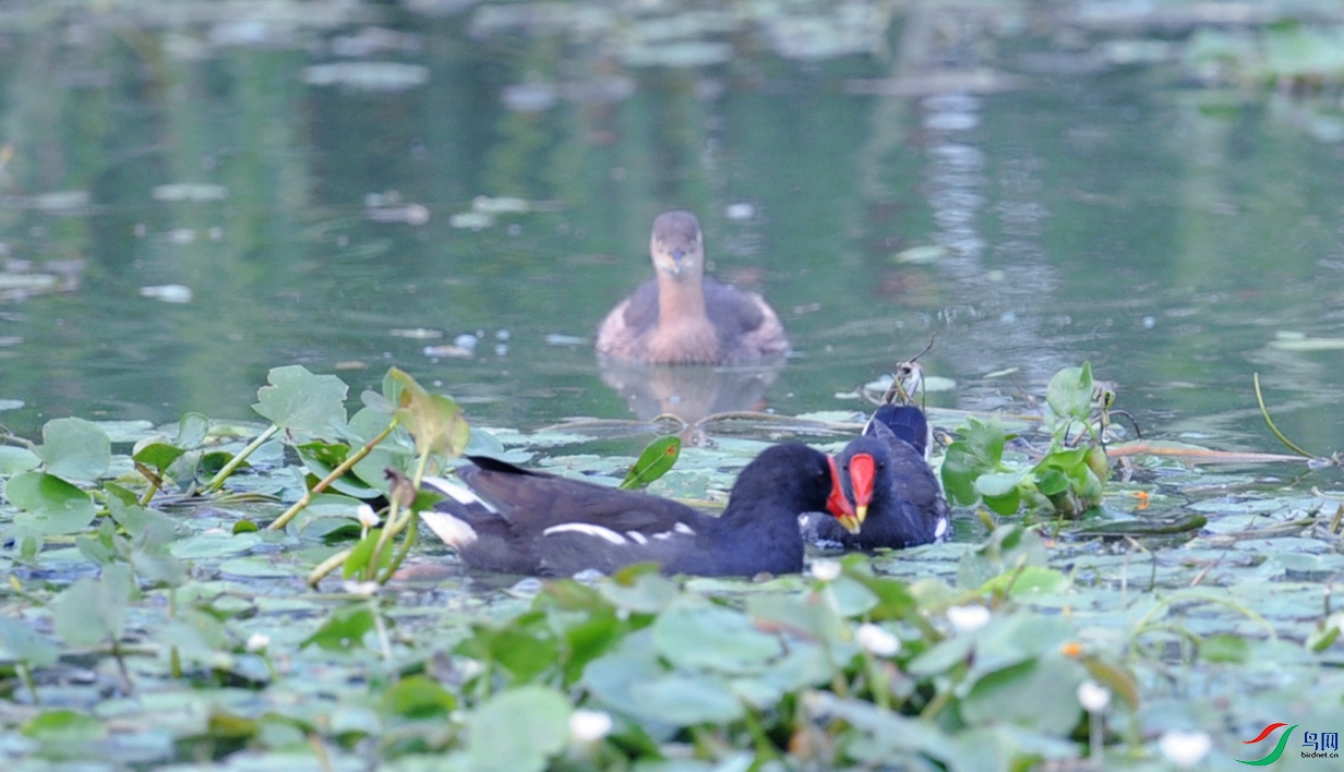 DSC_7719_.jpg