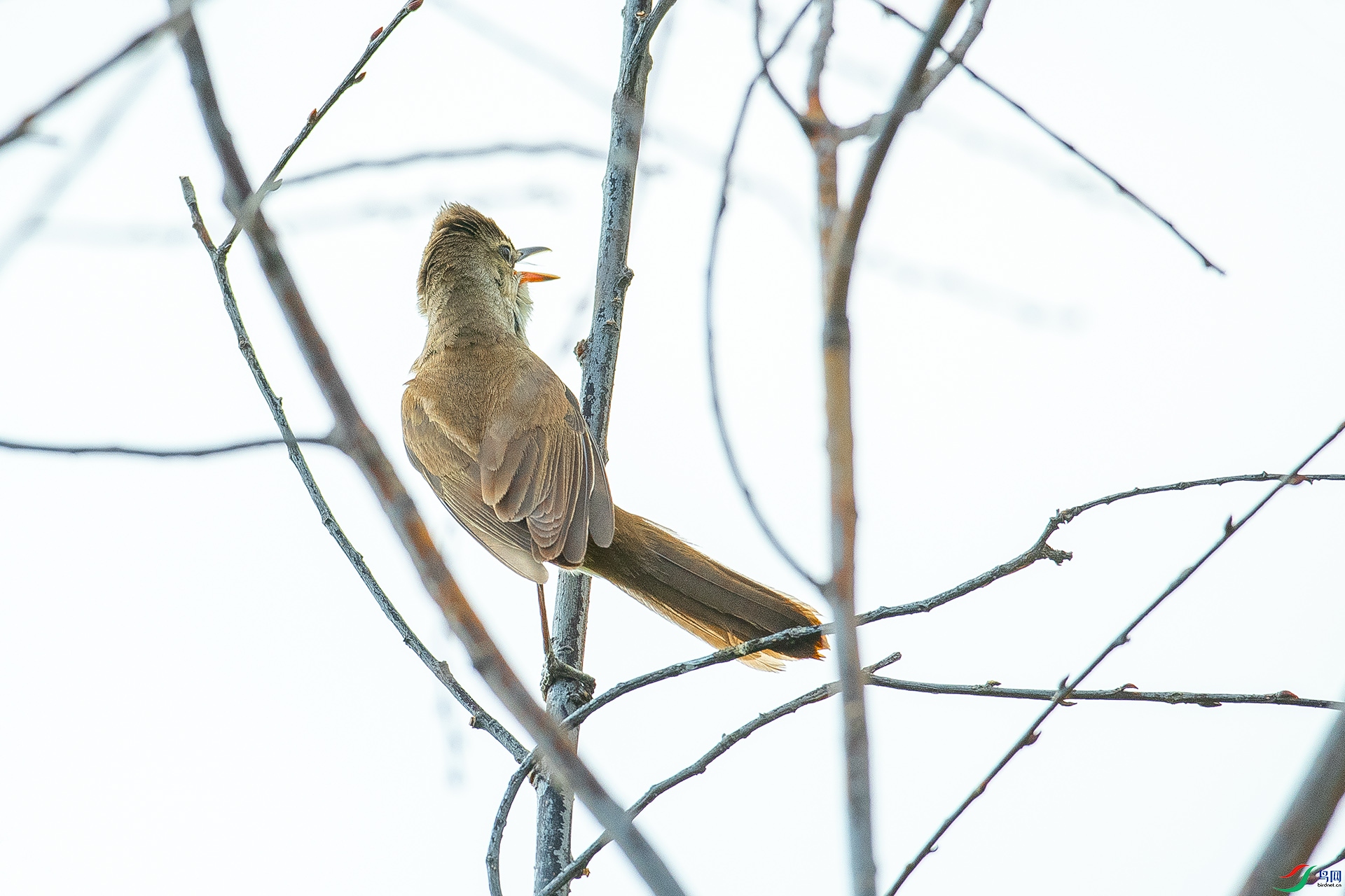 DSC_6050.jpg