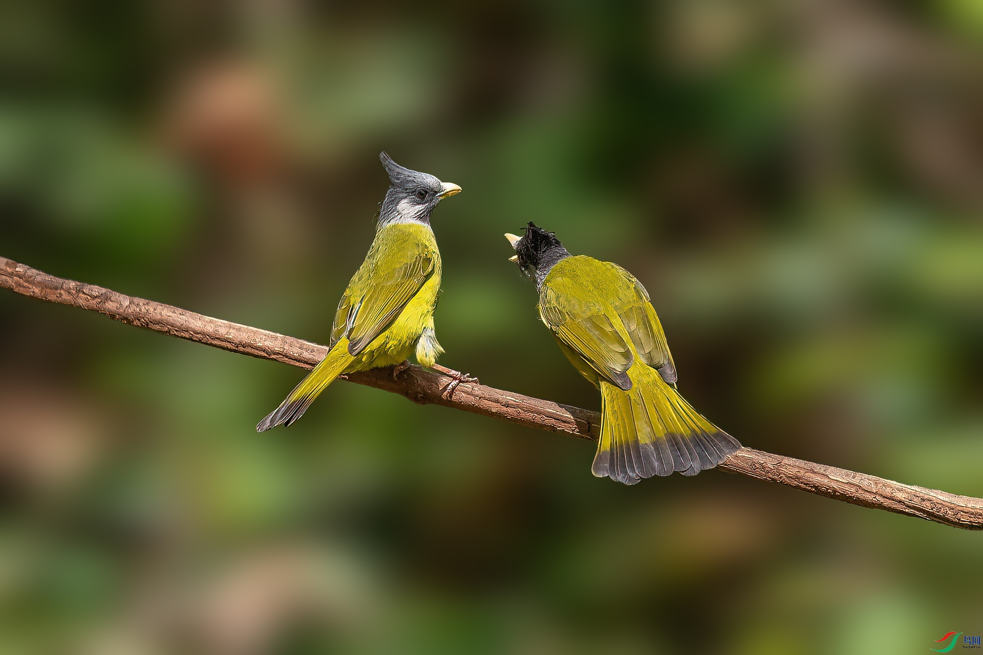 DSC_0348.jpg