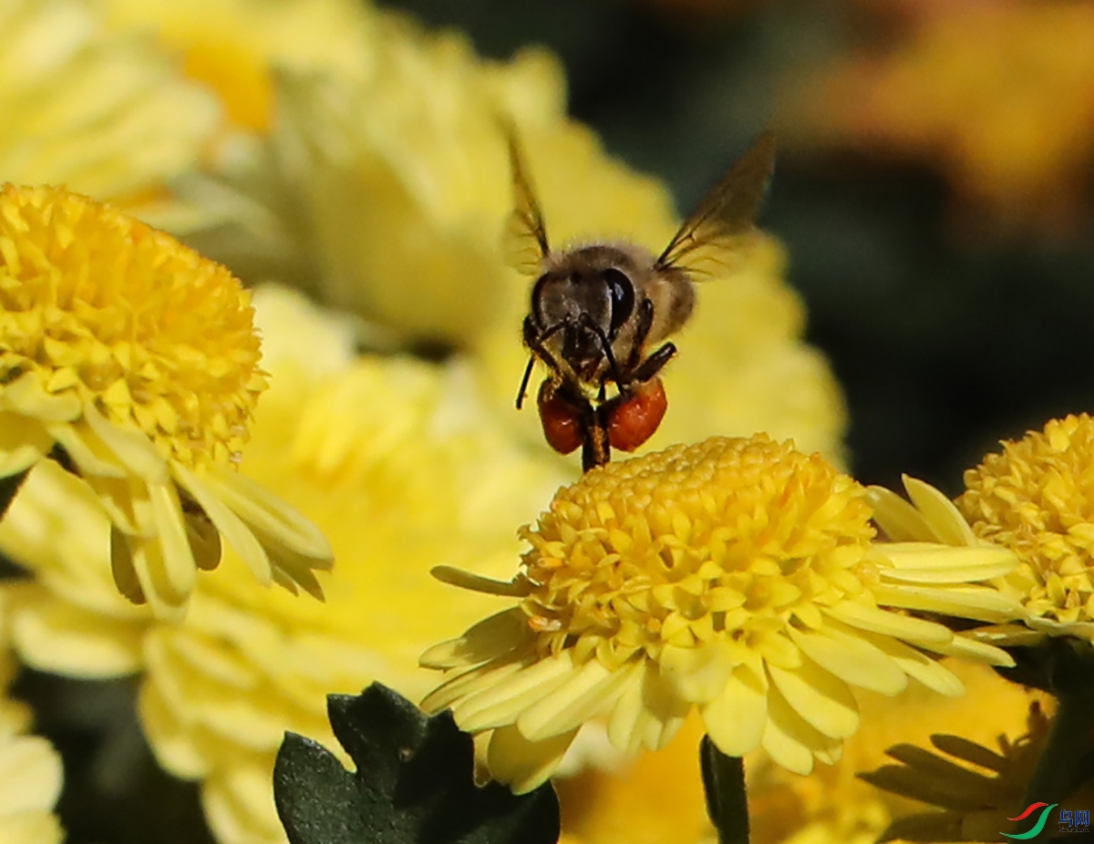 0000583A0802 ����0 ����.jpg