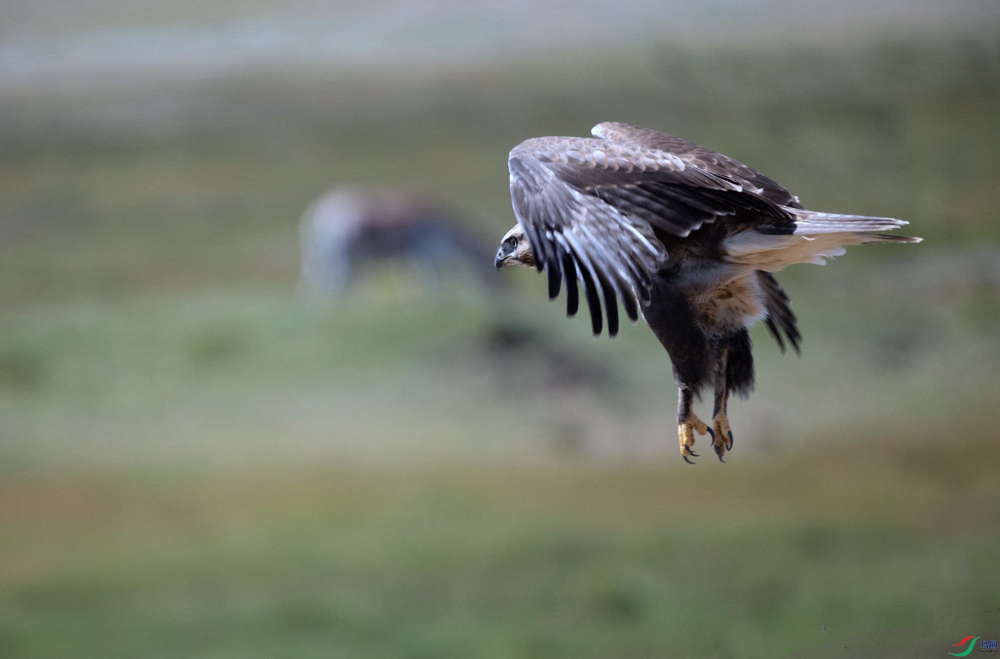 7X5A1638 - ���� (2).jpg