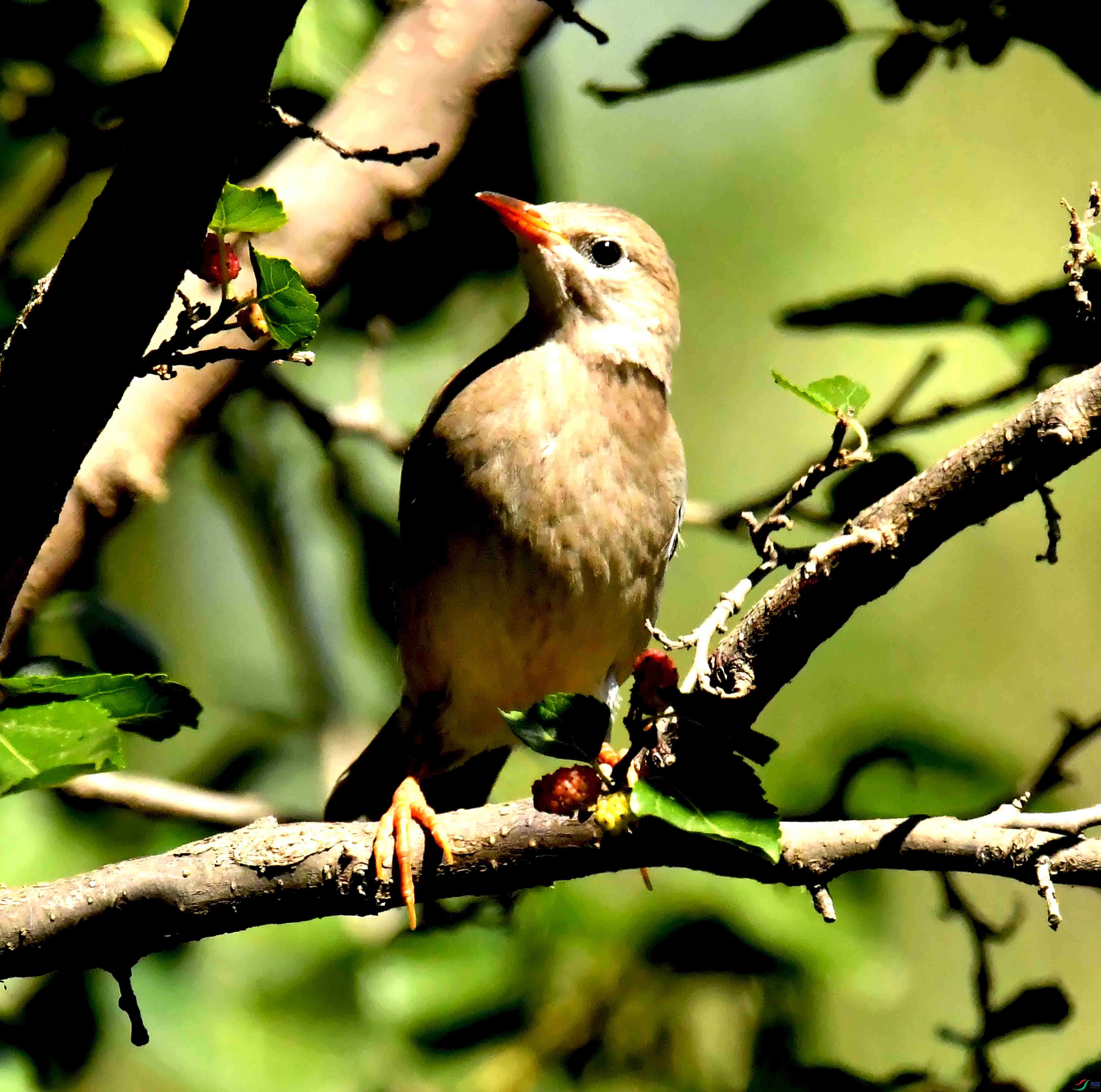 DSC_3640.JPG