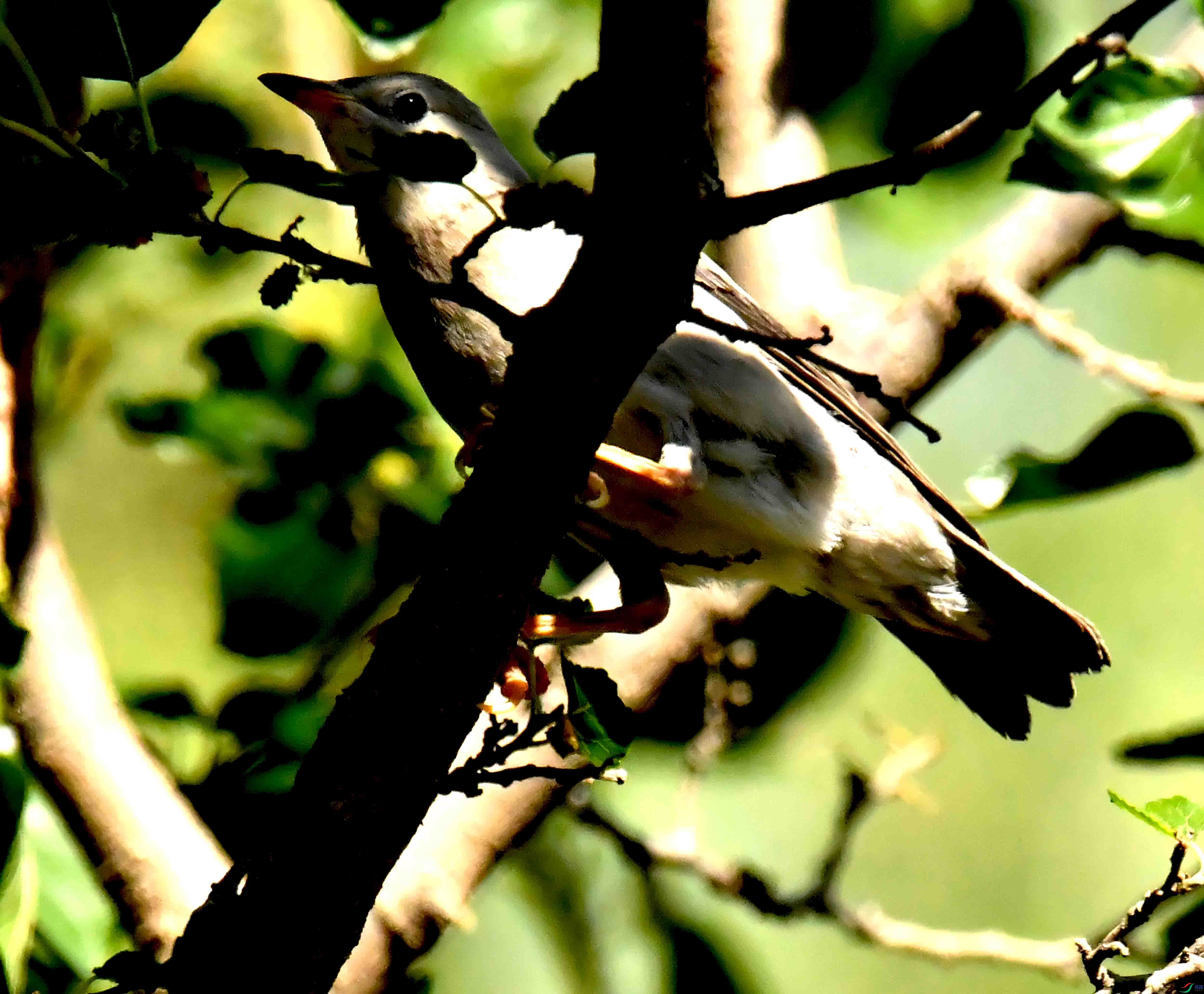 DSC_3641.JPG