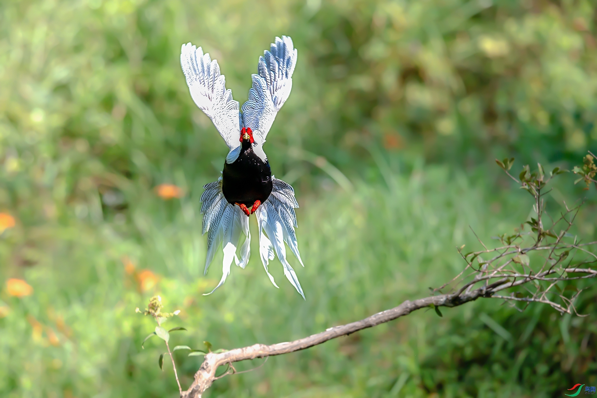 ����  ���� ����ǿ ��һ.jpg