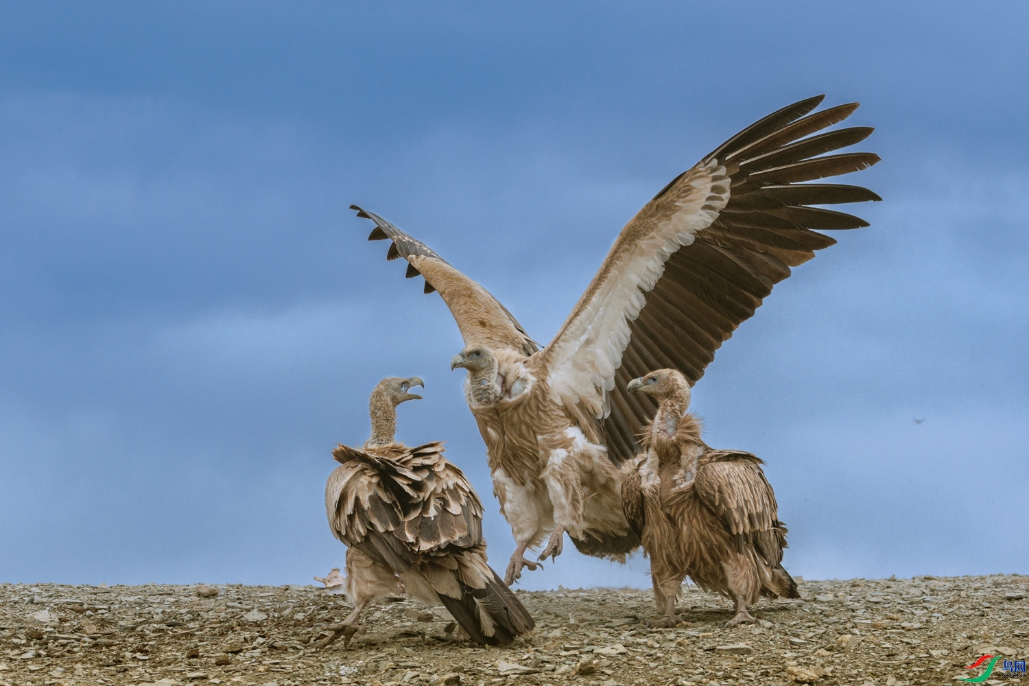 ����  ���� ��ͥ�Ų�yes  �ܶ�.jpg