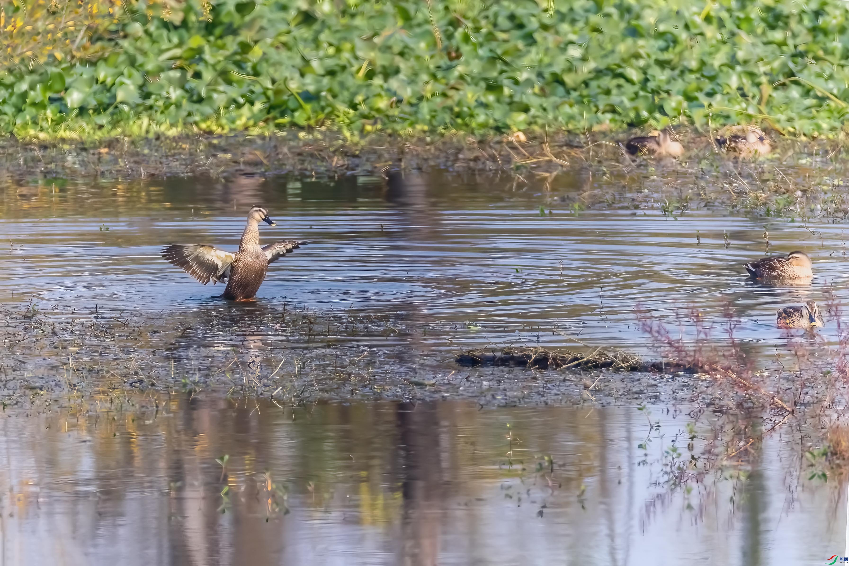 0M3A7974 ����.jpg