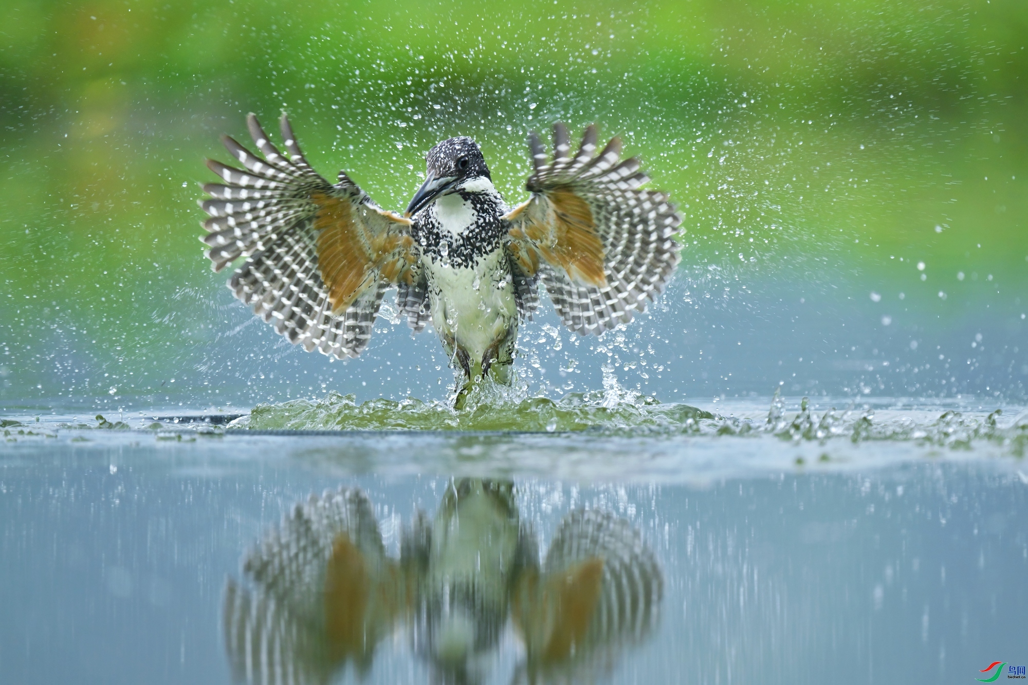 ��ˮ ���� �չ�����-����  ����.jpg