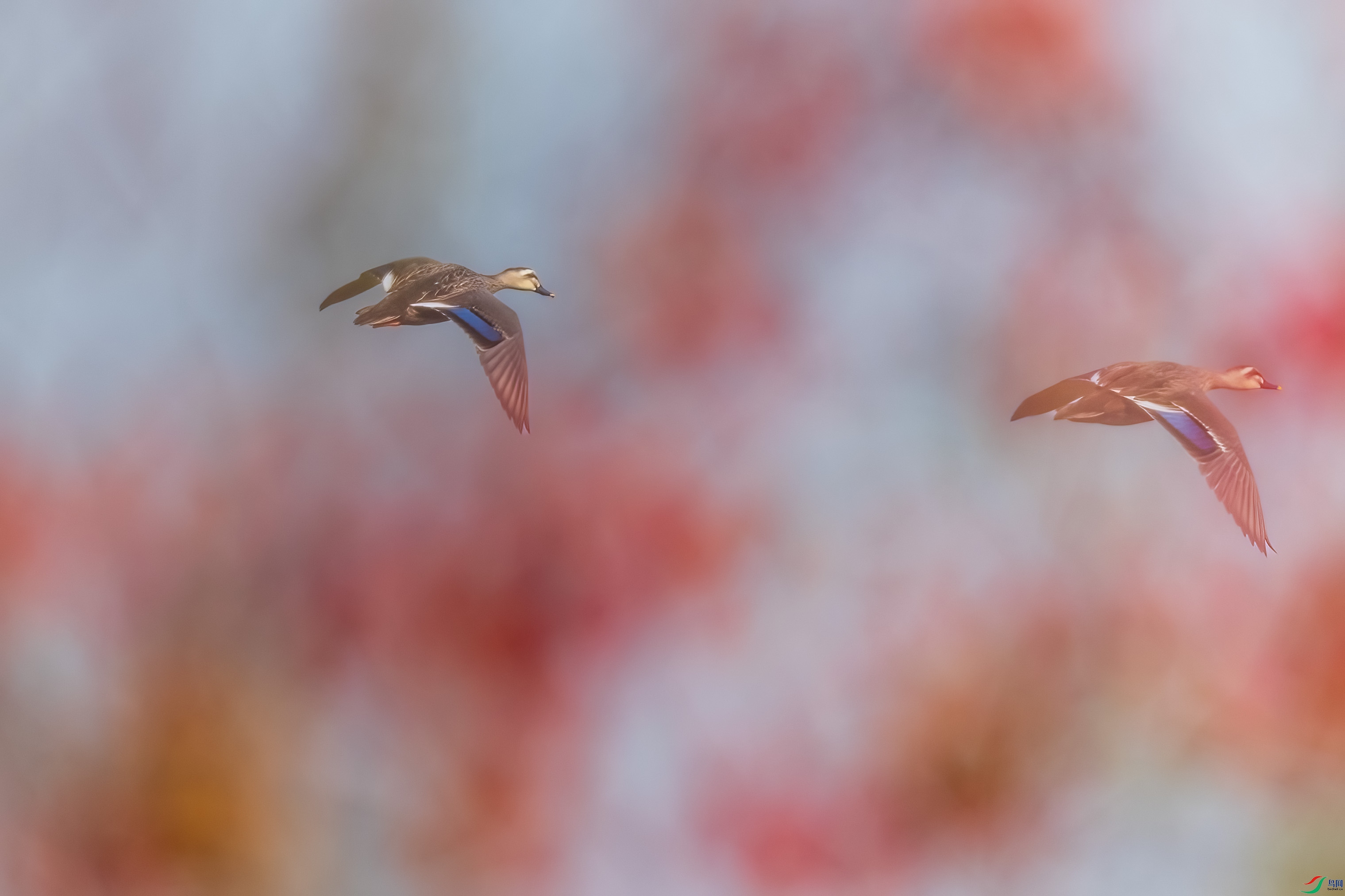 0M3A8020 ����.jpg