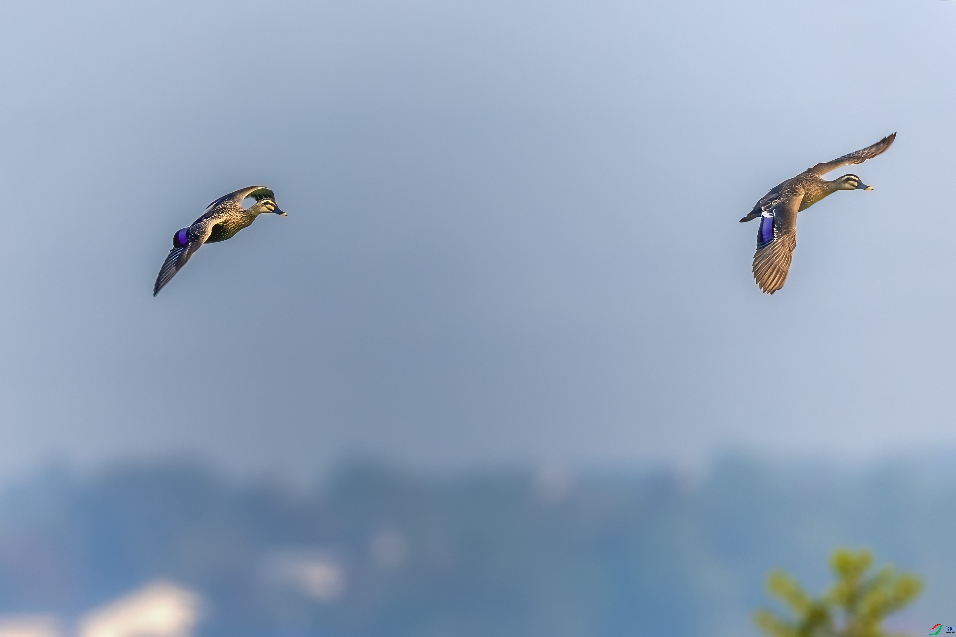 0M3A8024 ����.jpg