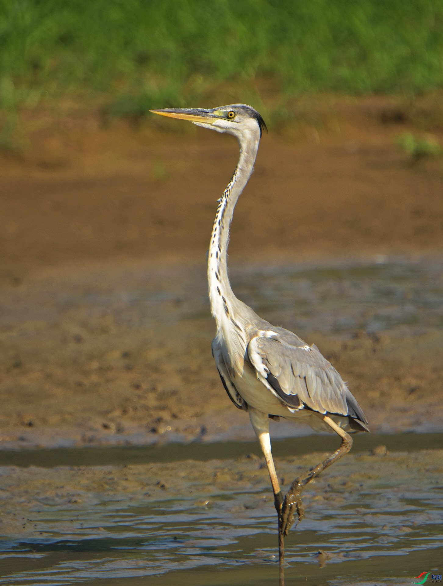 D72_5088.jpg