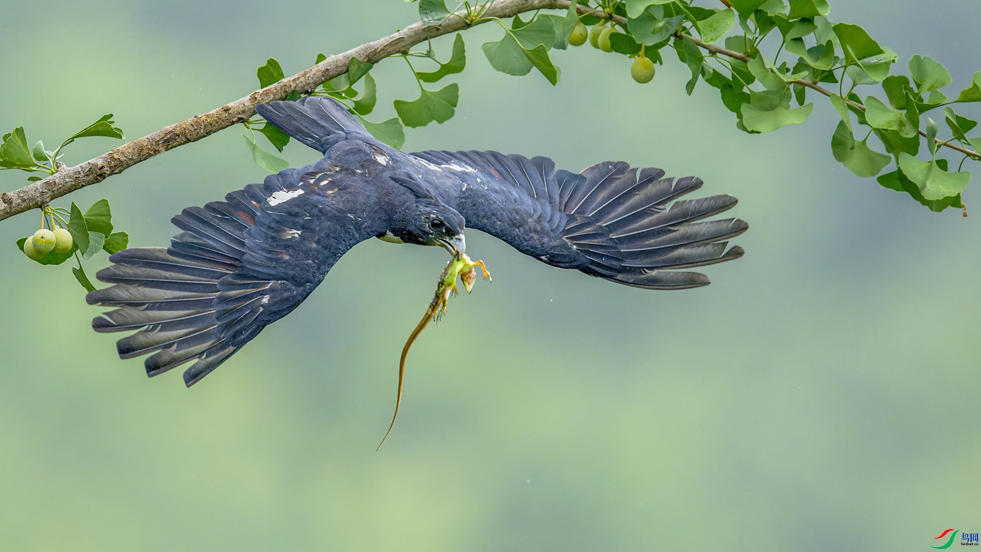 ���� ���� �������� ����.jpg