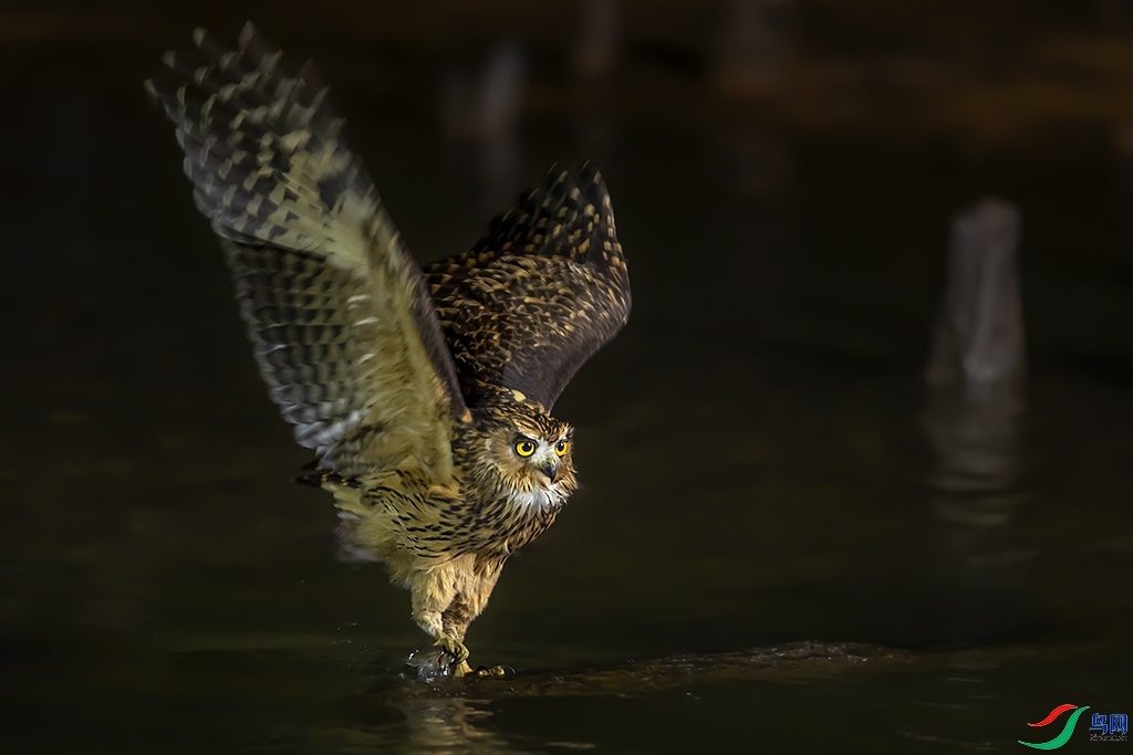 С���ջ� ���� ���ַ� ����.jpg