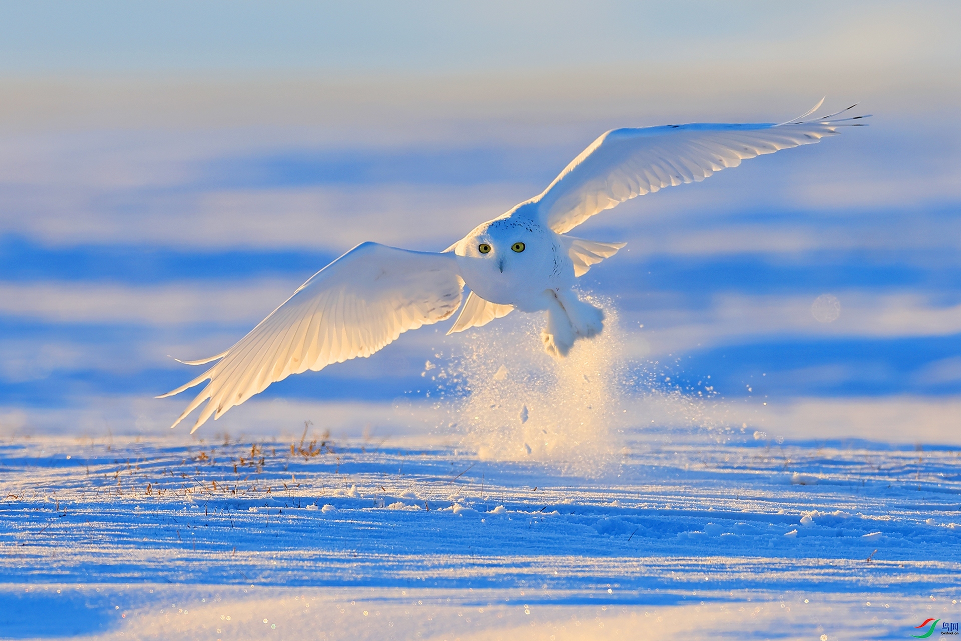 ����֮��  ���� ������ ����.jpg