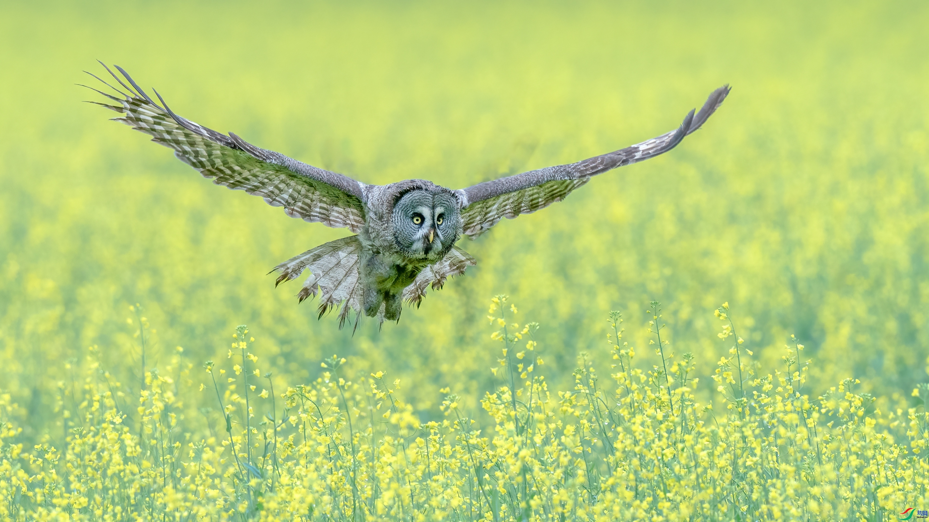 �����^  ���� ���� ����.jpg