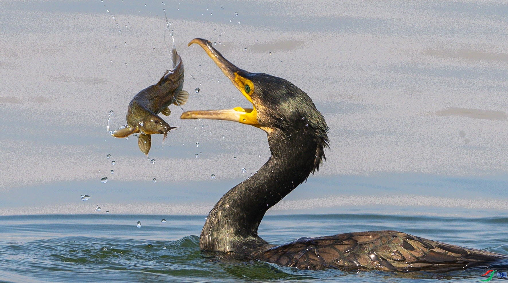 ��������  ����  ����.jpg