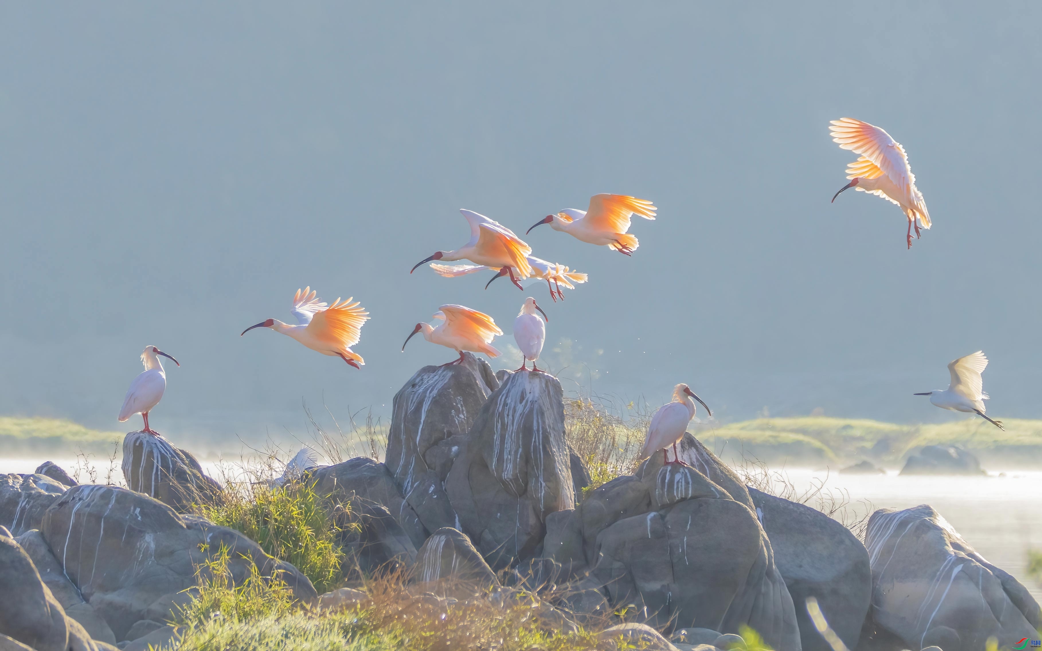 ��Ů�·�  ���� �ɶ��Ͻ� ����.jpg