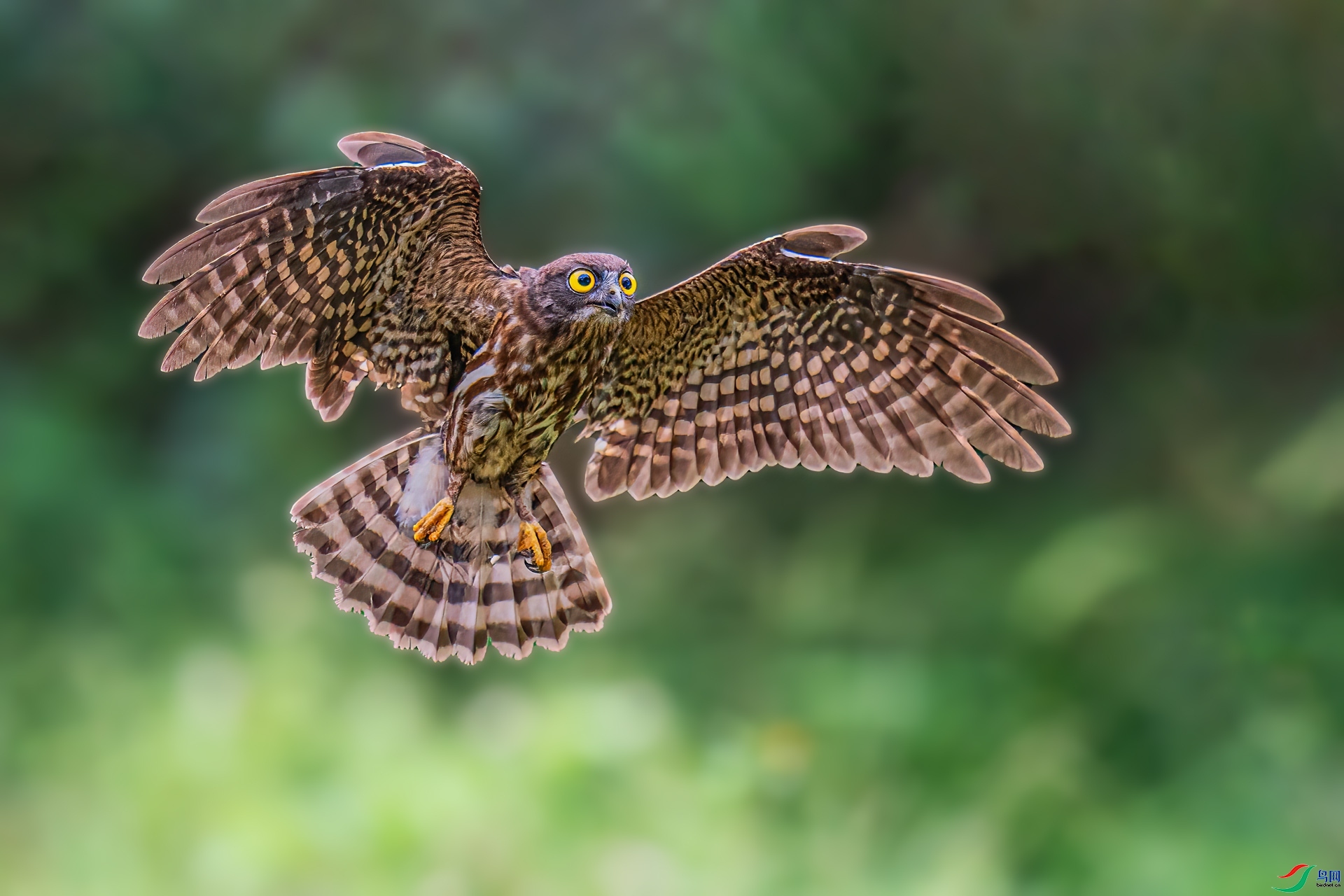 �ſ� ���� ��� ����.jpg