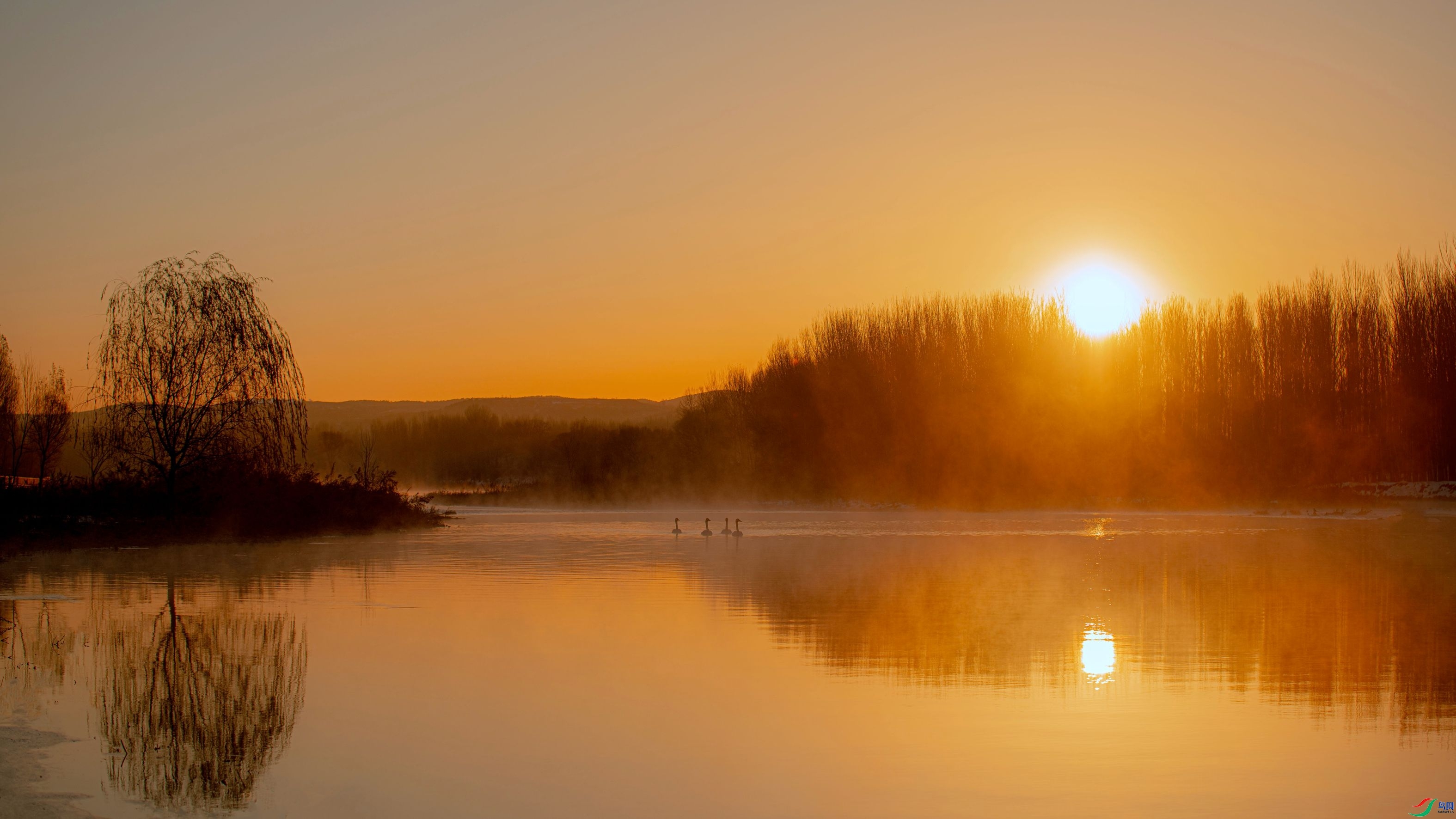 ��������� ���� �����ү ����.jpg