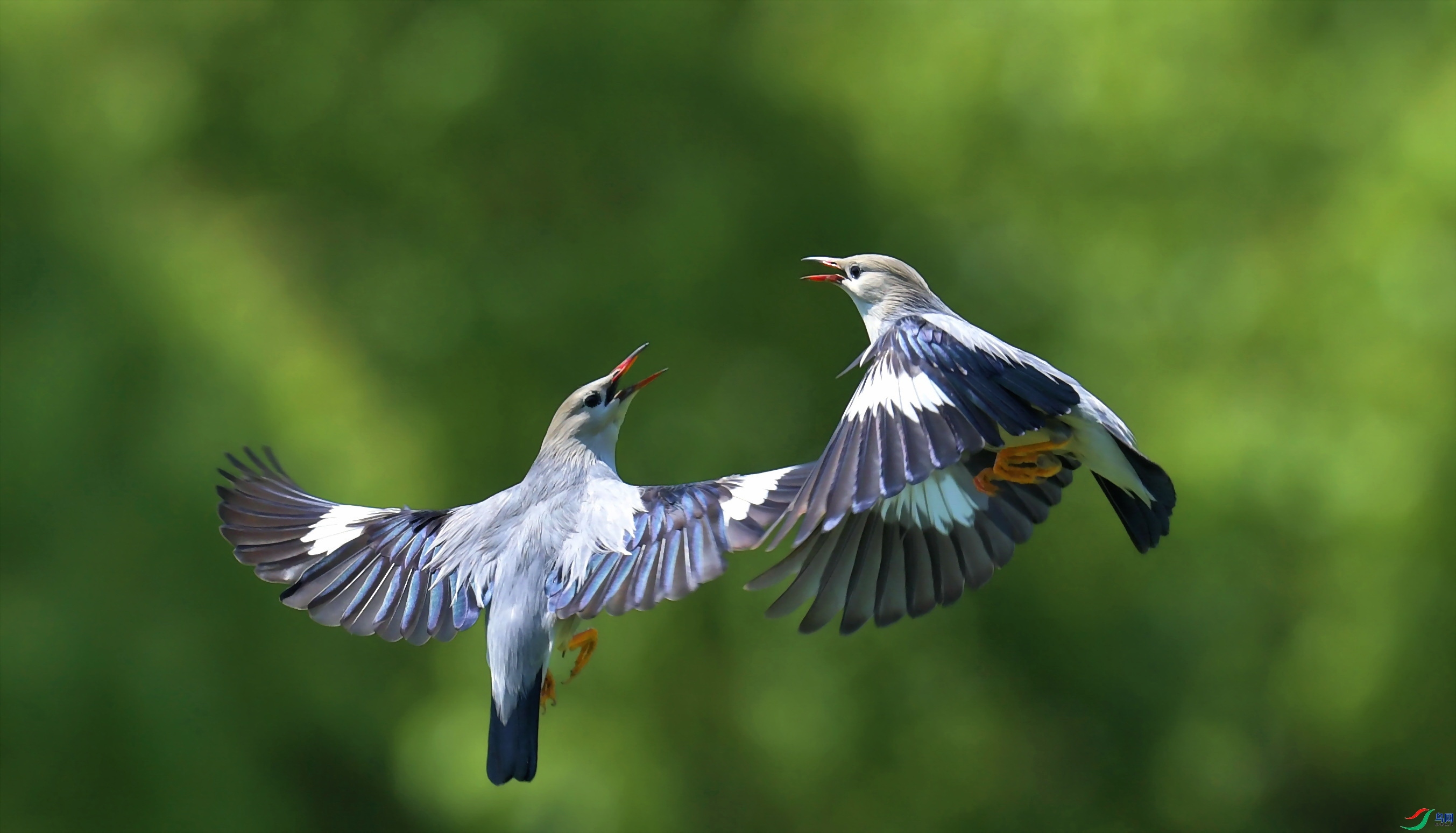 ����  ���� ����뻳  ����.jpg