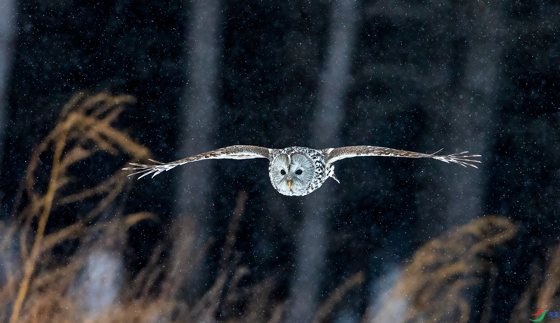 ����ĳ�β���^ ���� ������� ����.jpg