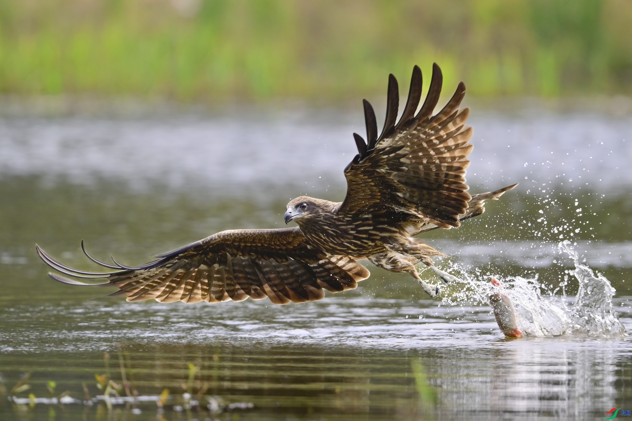 ʧ��  ���� ������� ����.jpg