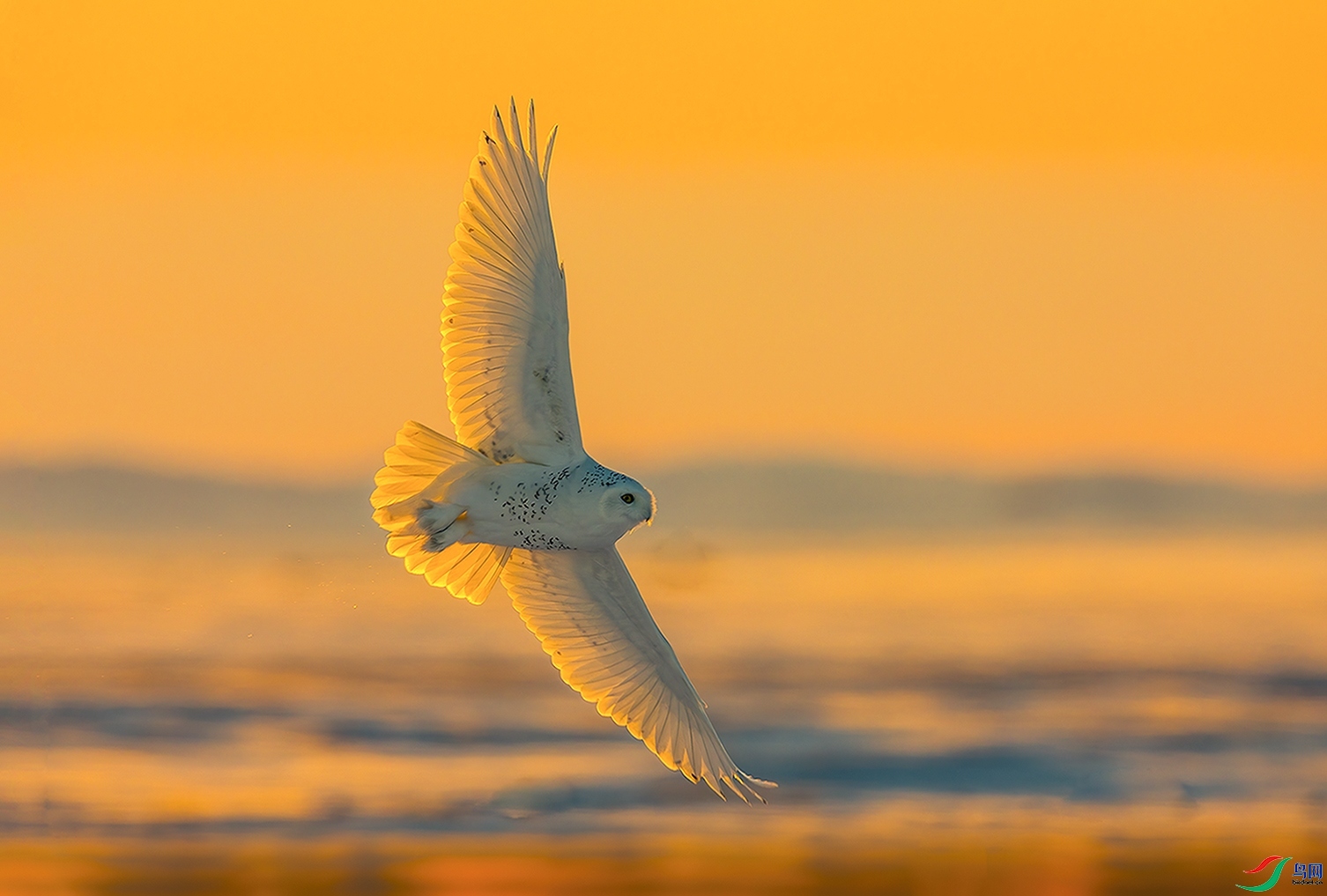 ����ת�� ���� ־�գ���˳������.jpg