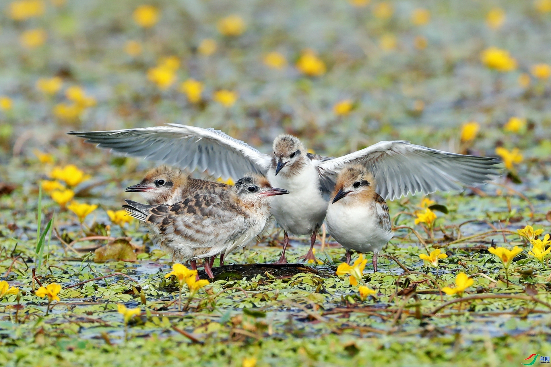 �ǻ� ���� ������ ����.jpg