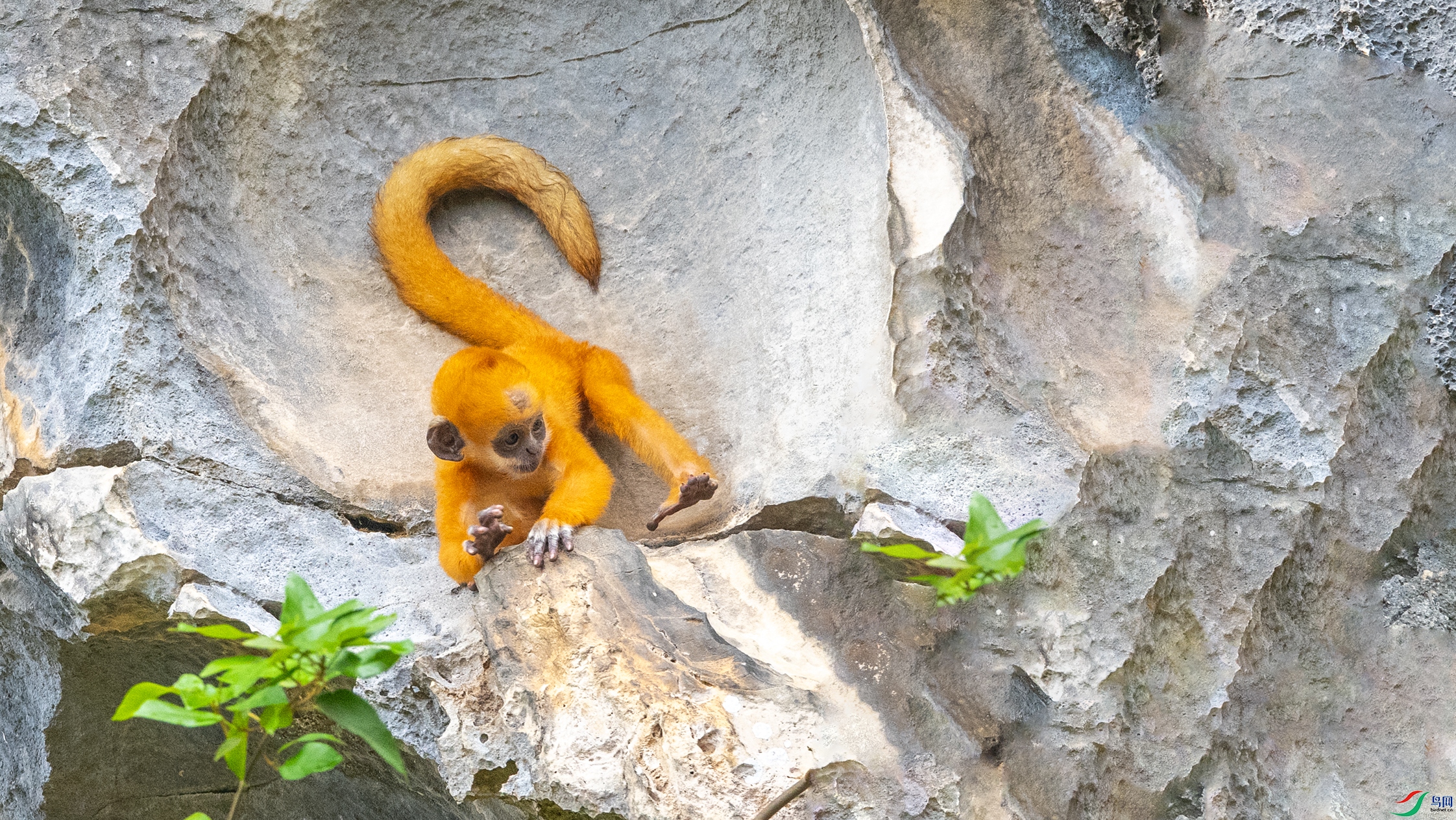 1602 ����-1.jpg