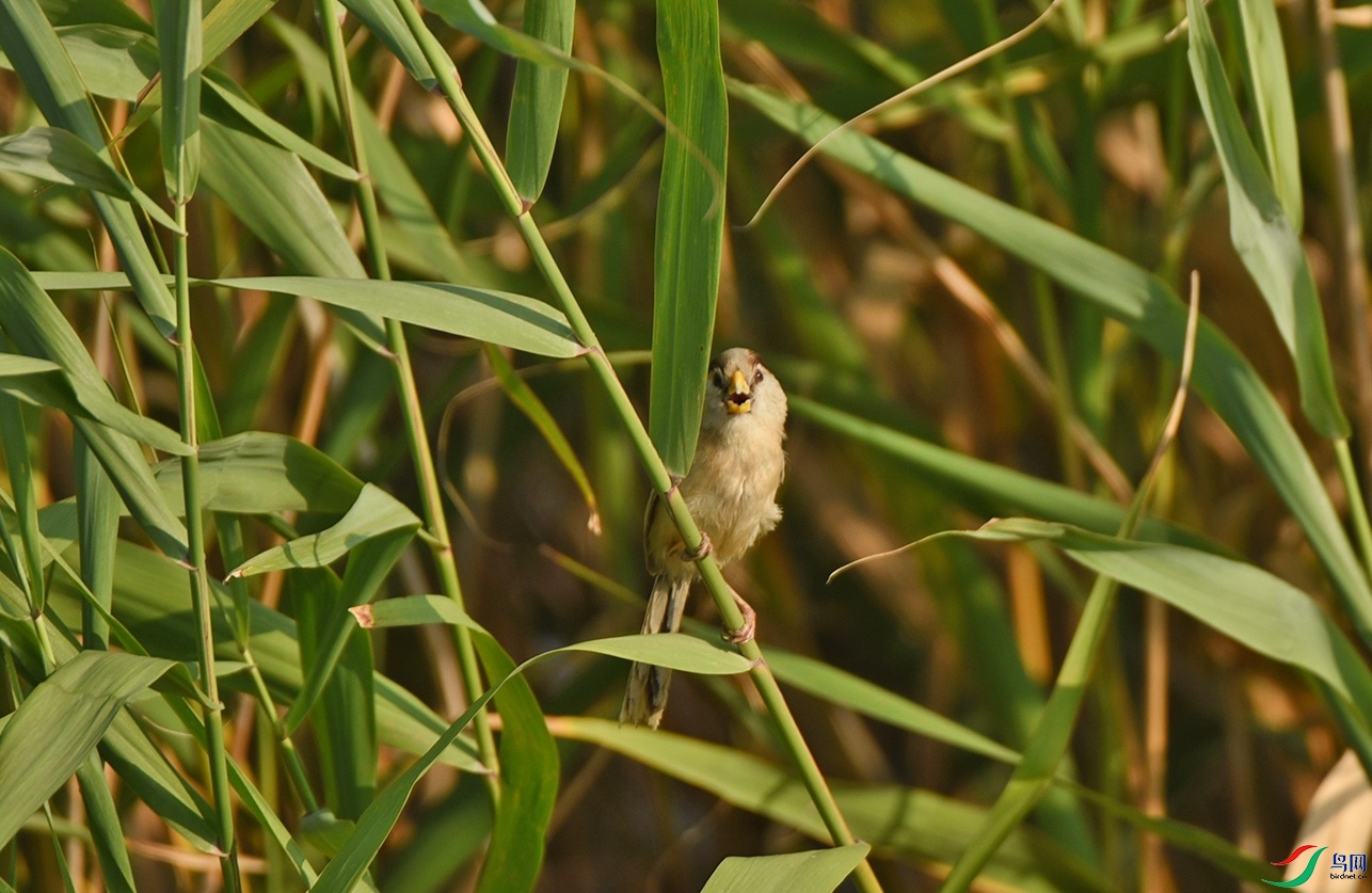 DSC_6344f_��ͼ��.jpg