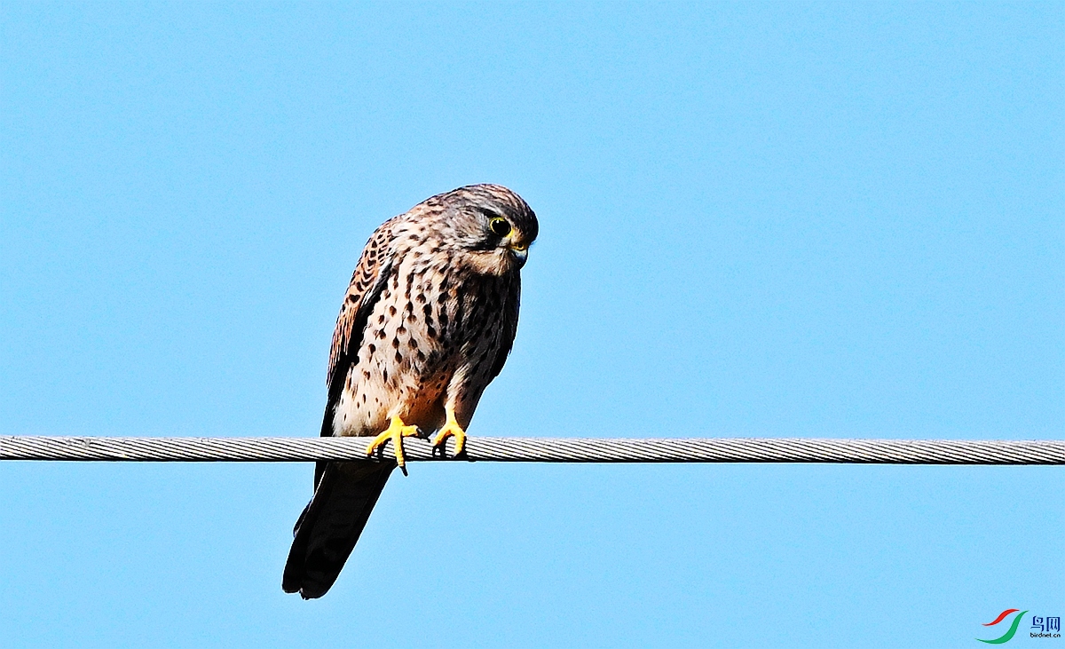 DSC_8900.JPG