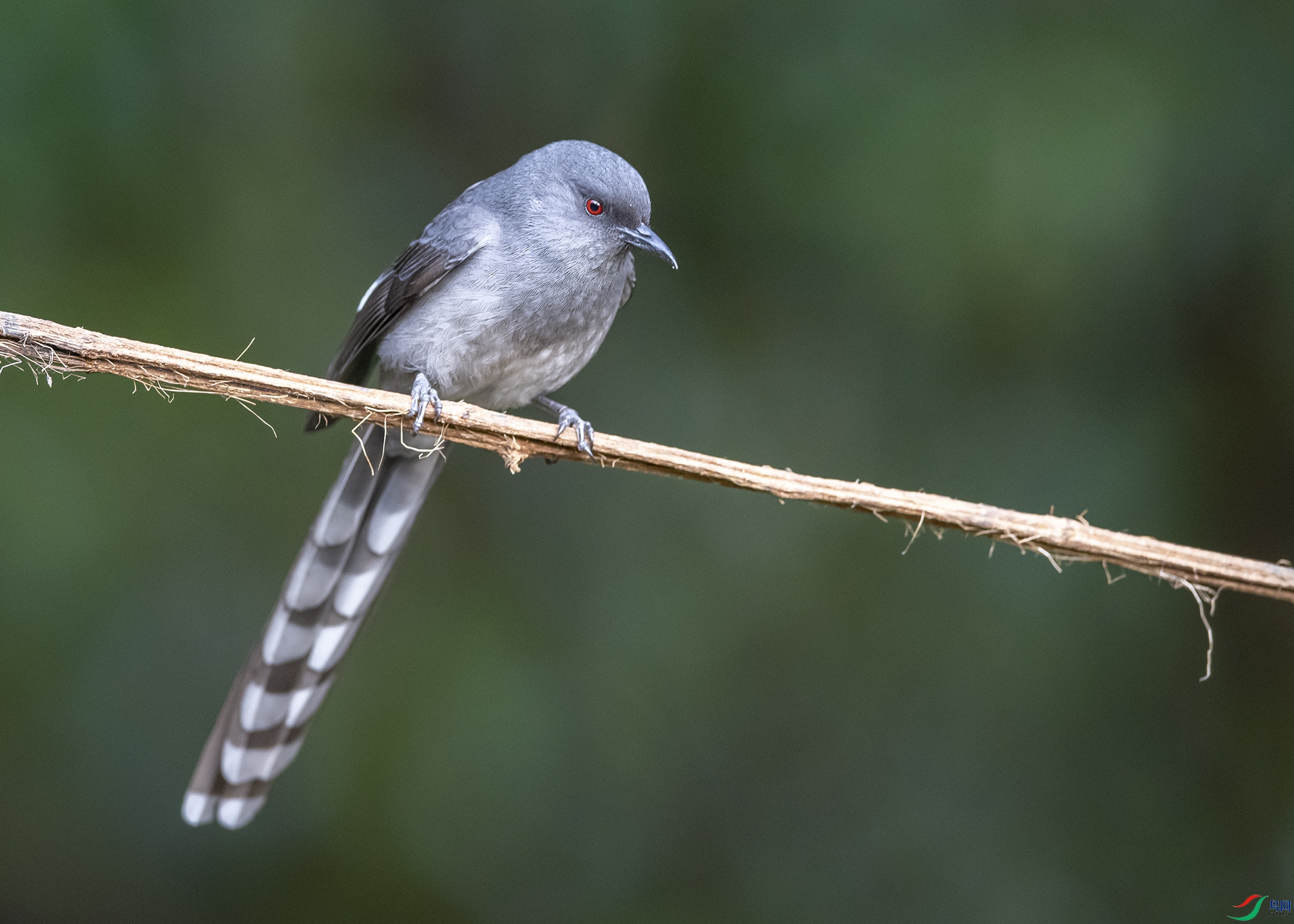 0956 ����.jpg