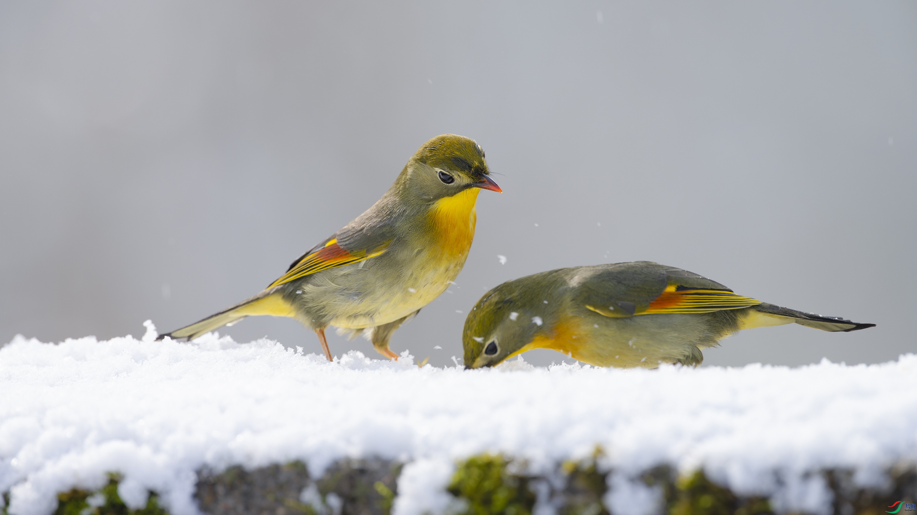 _DSC8689_DxO.jpg