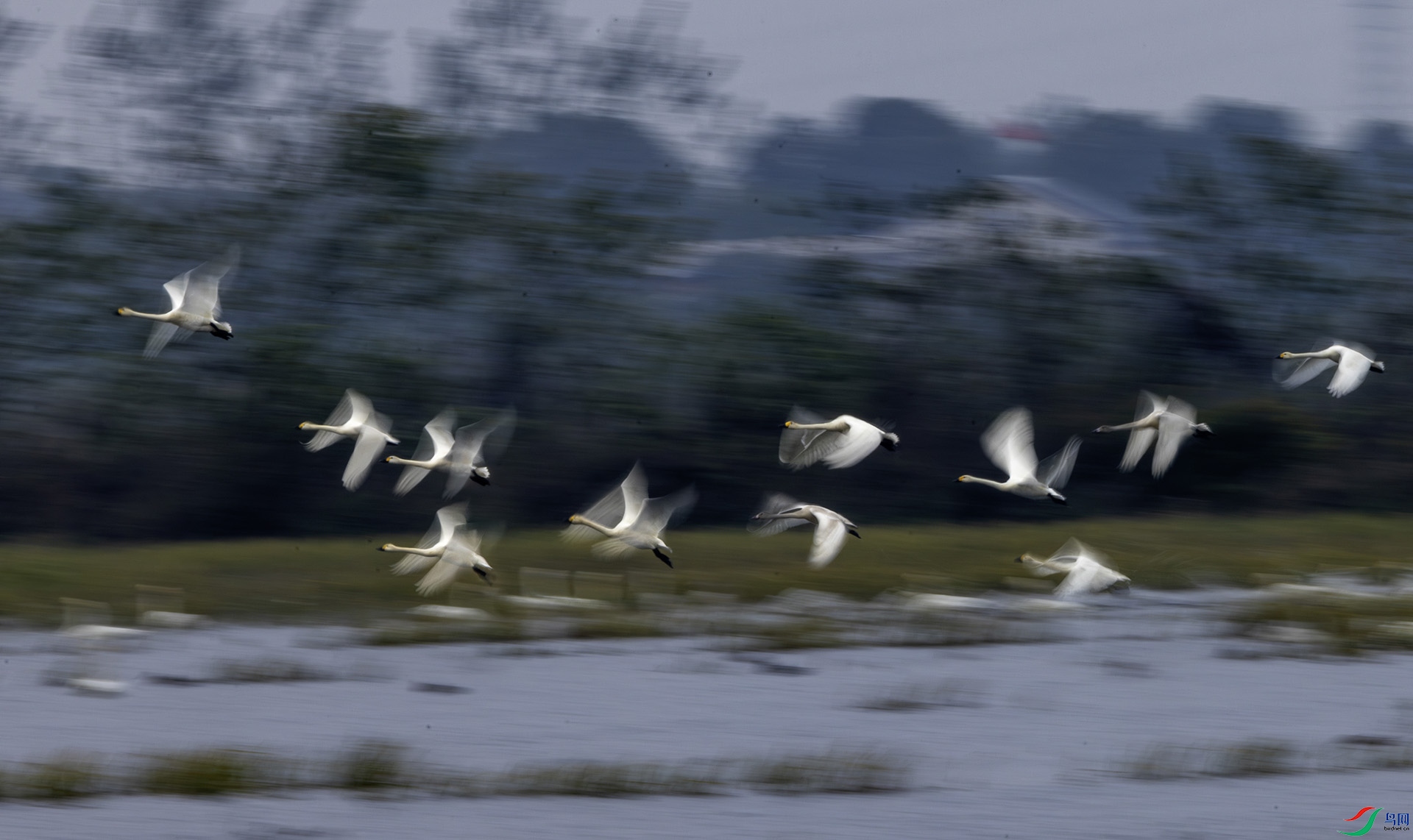 ����  2023��11��13��������������ԭ�������ɻ��嶫�ź��������ڵ��������Ͱ��նԻ��������Ĳ��ϼ����������ǧ����ֻС����ִ�ңԶ�ı�����Լ����������ӯ�����߷׷׽��ٶ��ź���.jpg