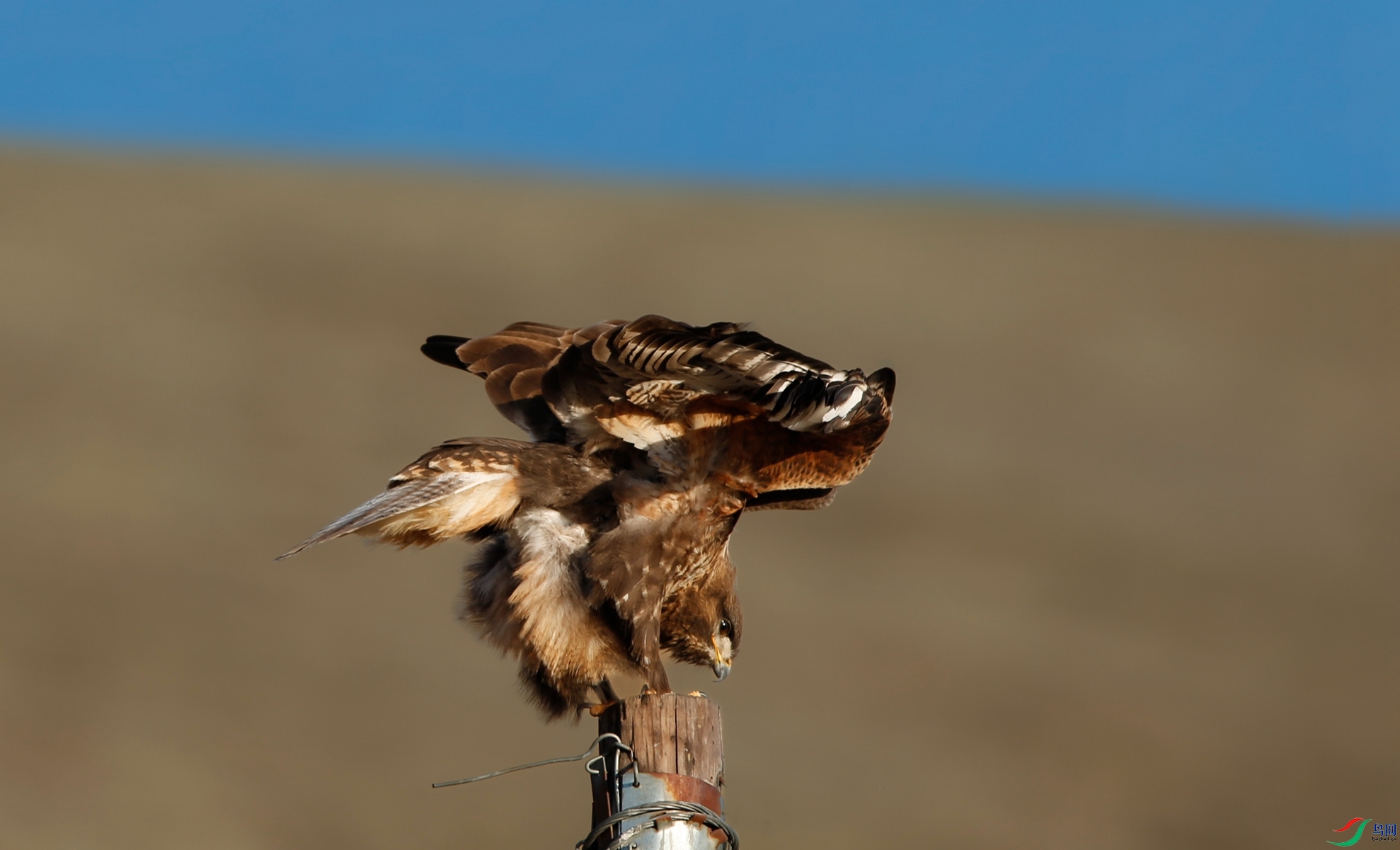 _39A1401 - ����.JPG