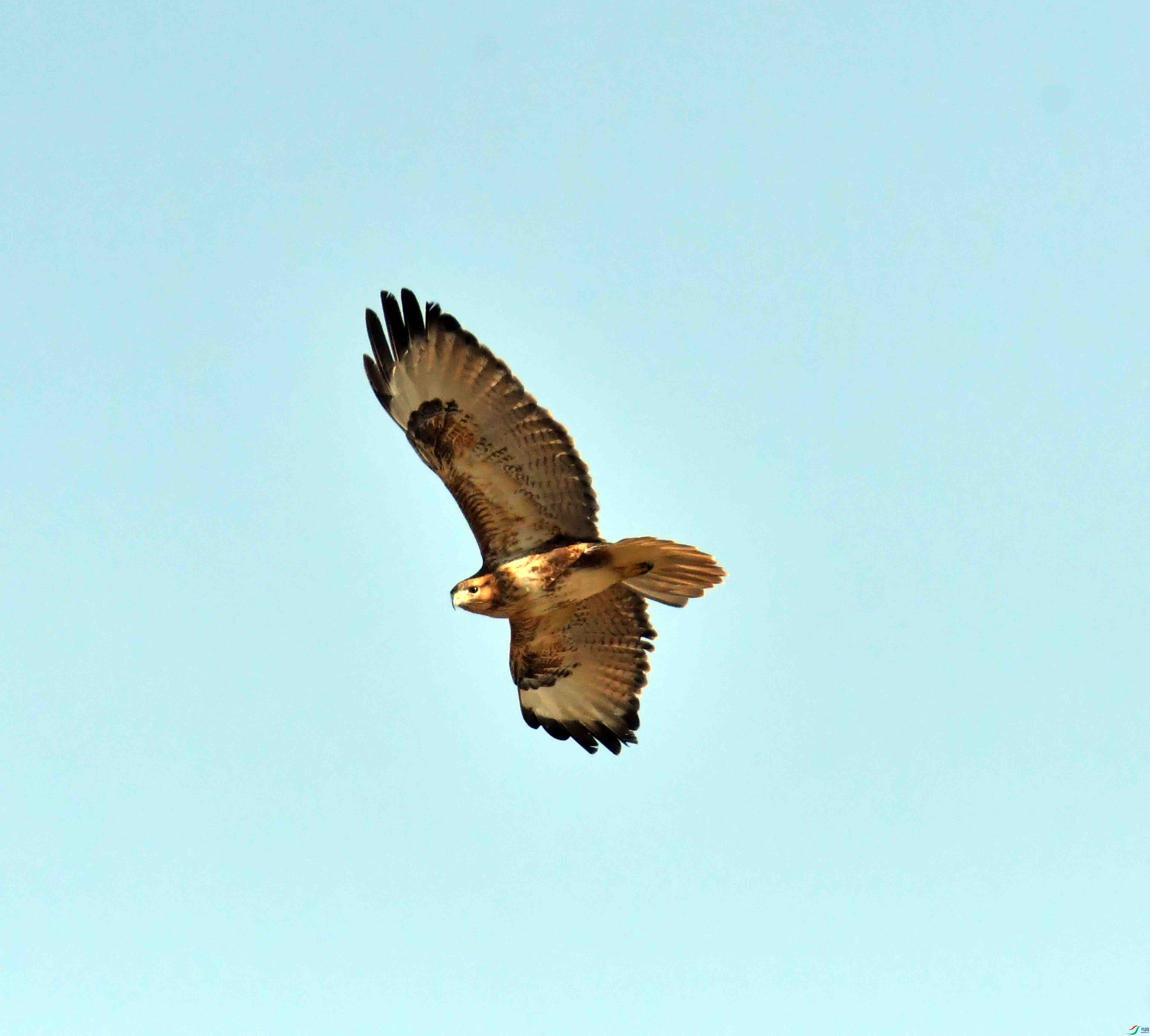 DSC_1941.JPG
