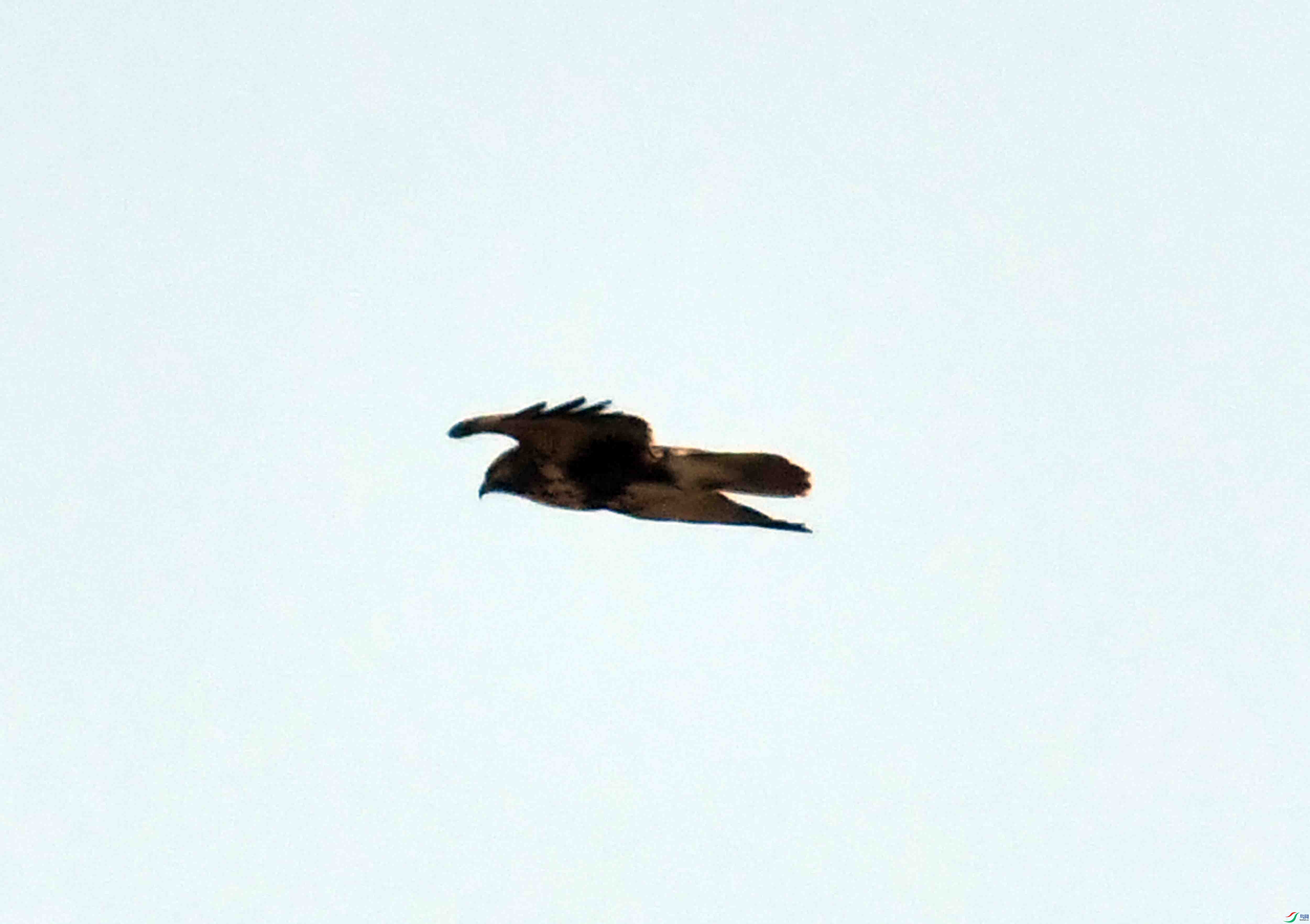 DSC_3601.JPG