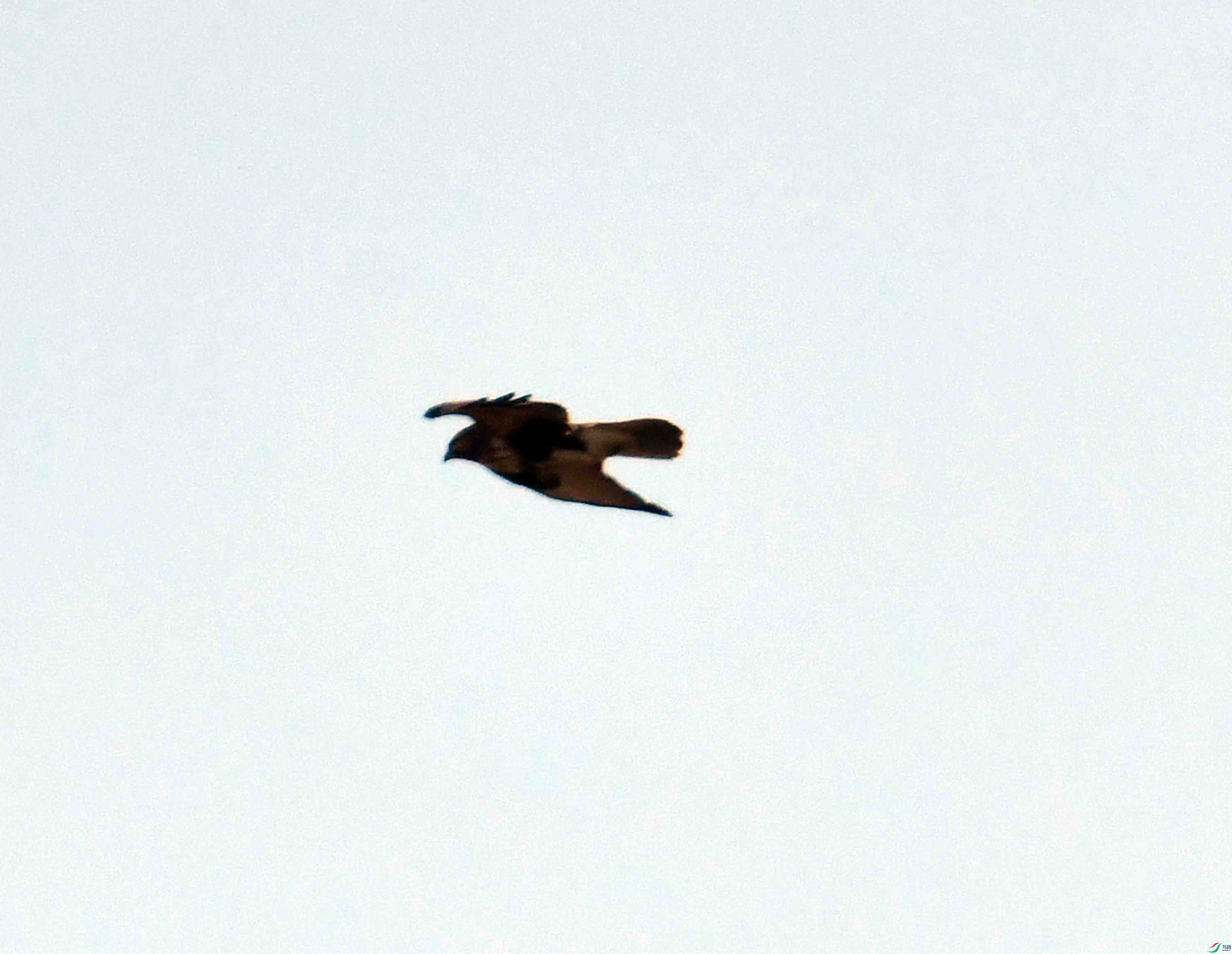 DSC_3600.JPG