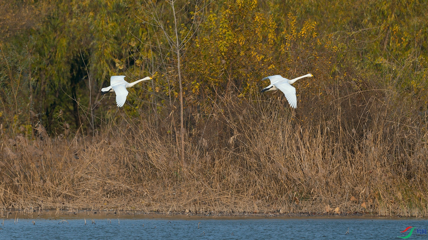 DSC_5182_DxOa.jpg