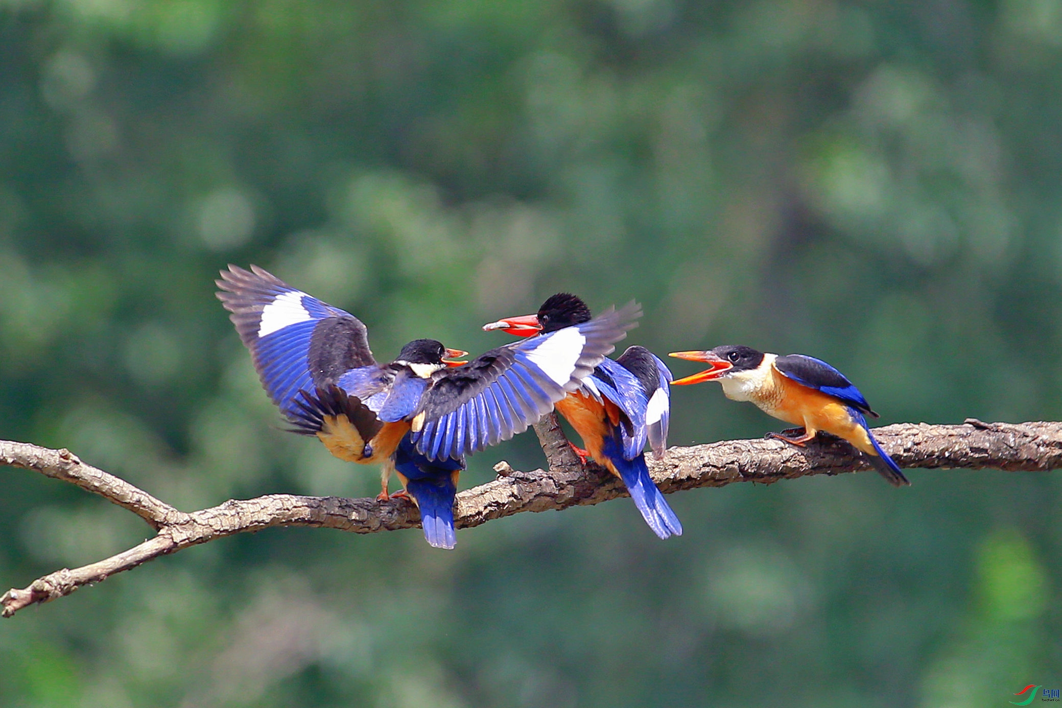 DB4W6455_����.jpg