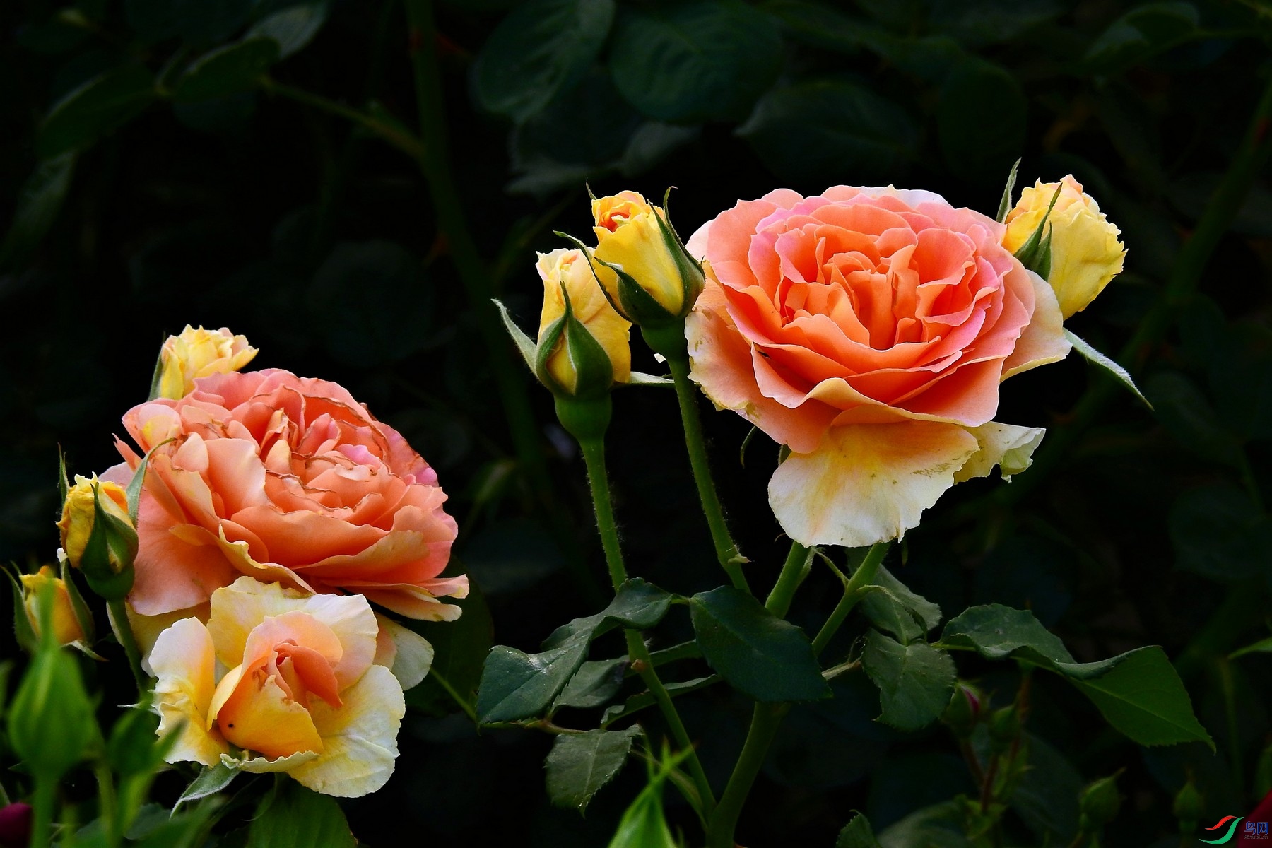 DSCN1628.JPG