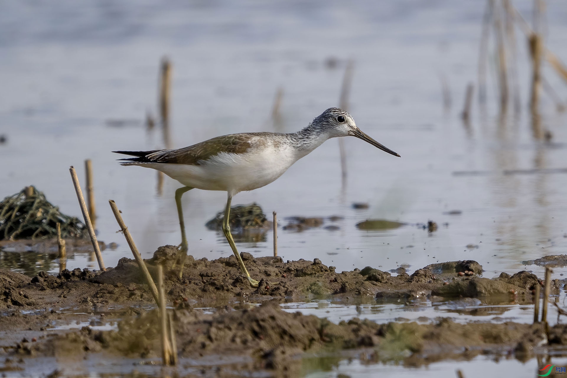 01 PB140479-DeNoiseAI-standard.jpg