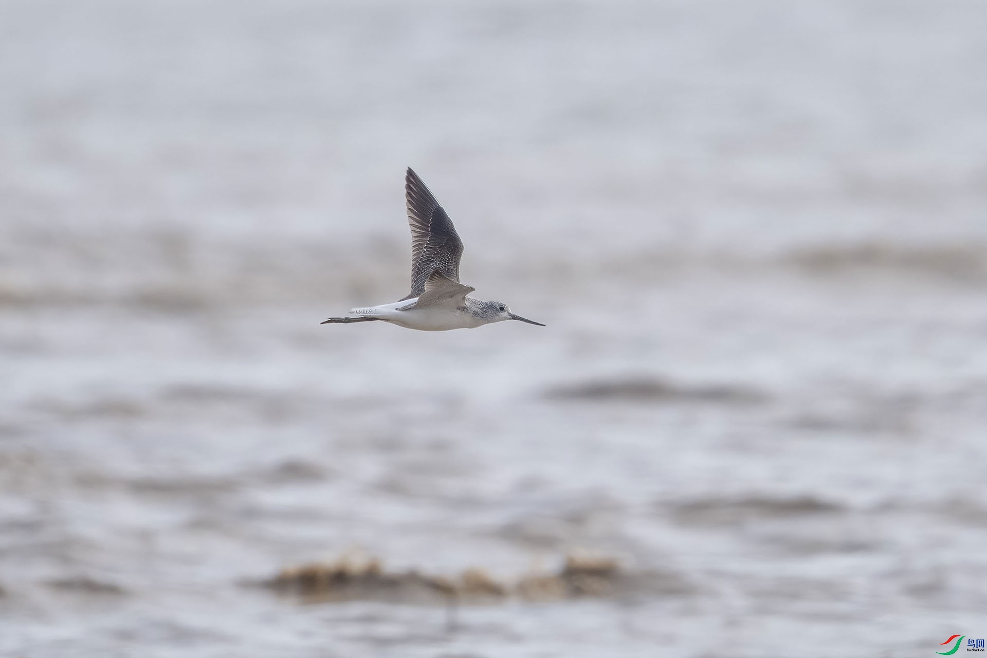 03 PB140272-DeNoiseAI-standard.jpg