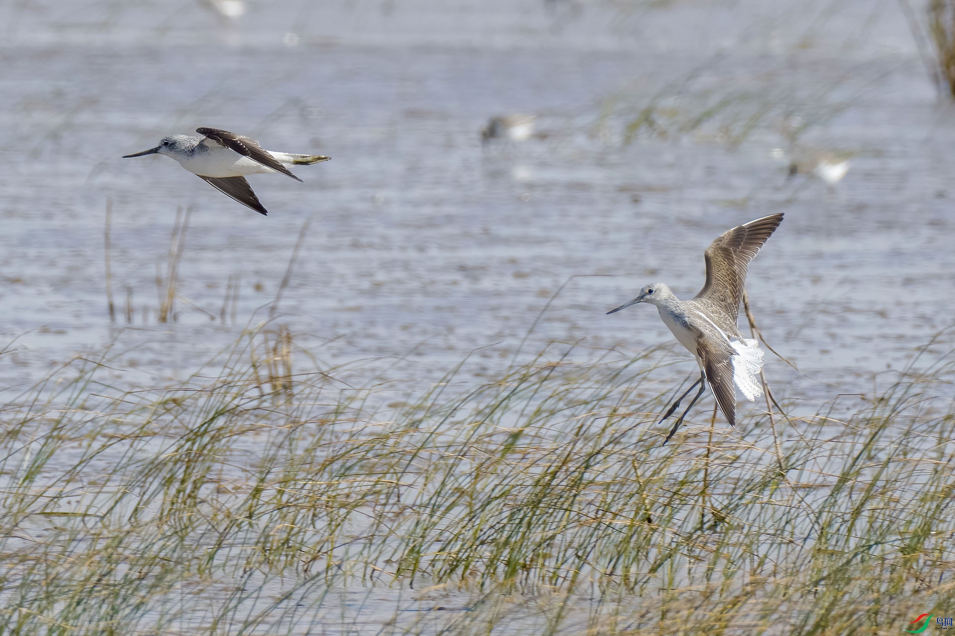 02 PB134135-DeNoiseAI-standard.jpg