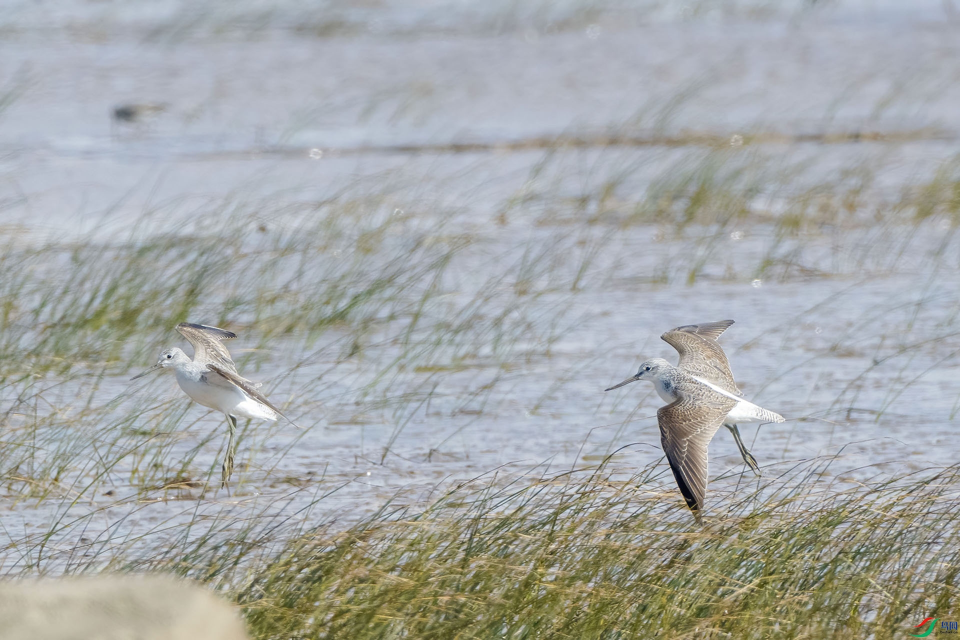 04 PB134161-DeNoiseAI-standard.jpg